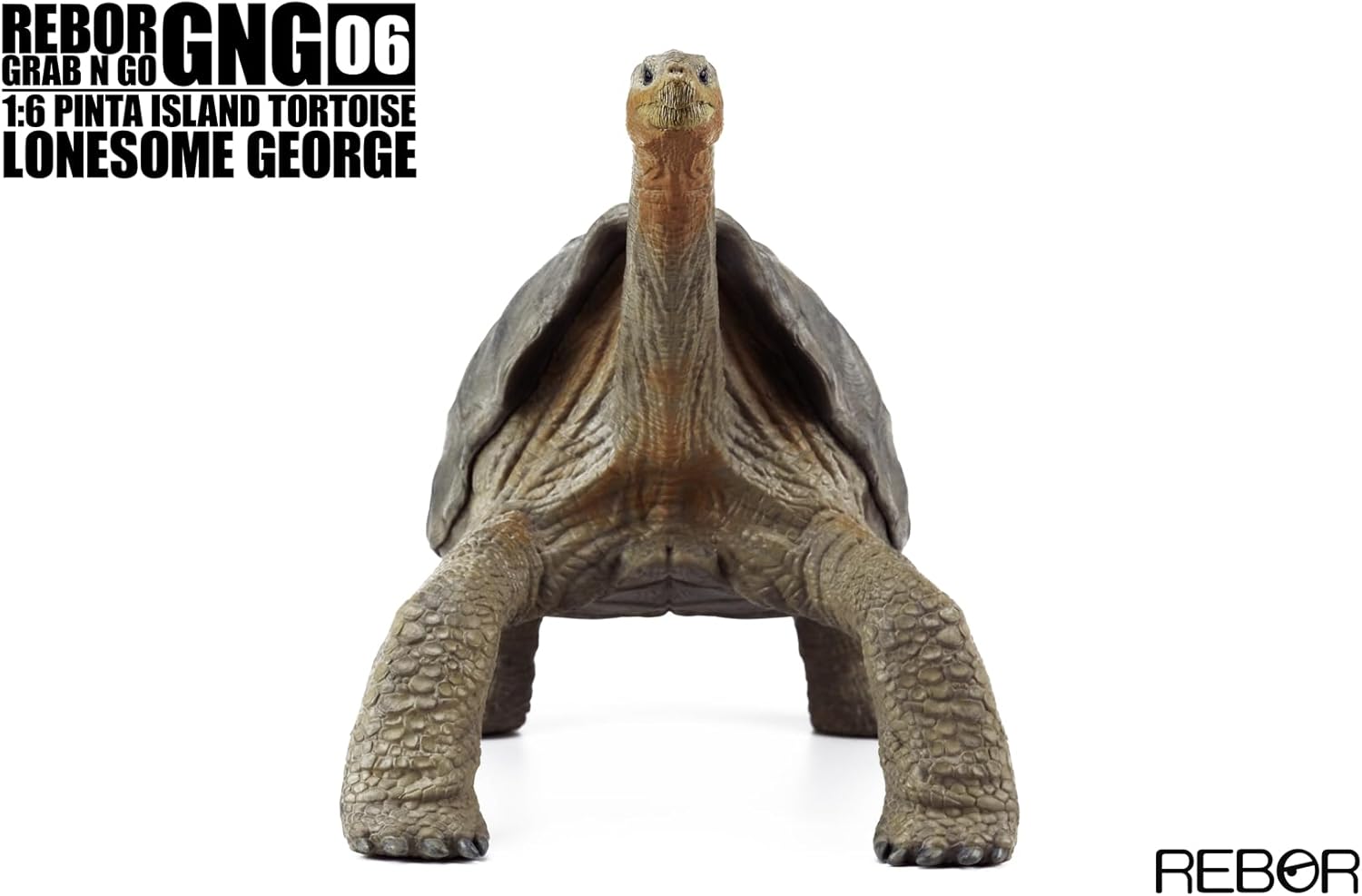 BACALYSO |Rebor GNG06 1/6 サイズ ピンタゾウガメ 30cm級 亀 カメ ロンサム・ジョージ フィギュア ガラパゴスゾウガメ 絶滅動物 模型 置物 インテリア コレクション リアル オリジナル 完成品 オブジェ 贈り物 プレゼント おもちゃ