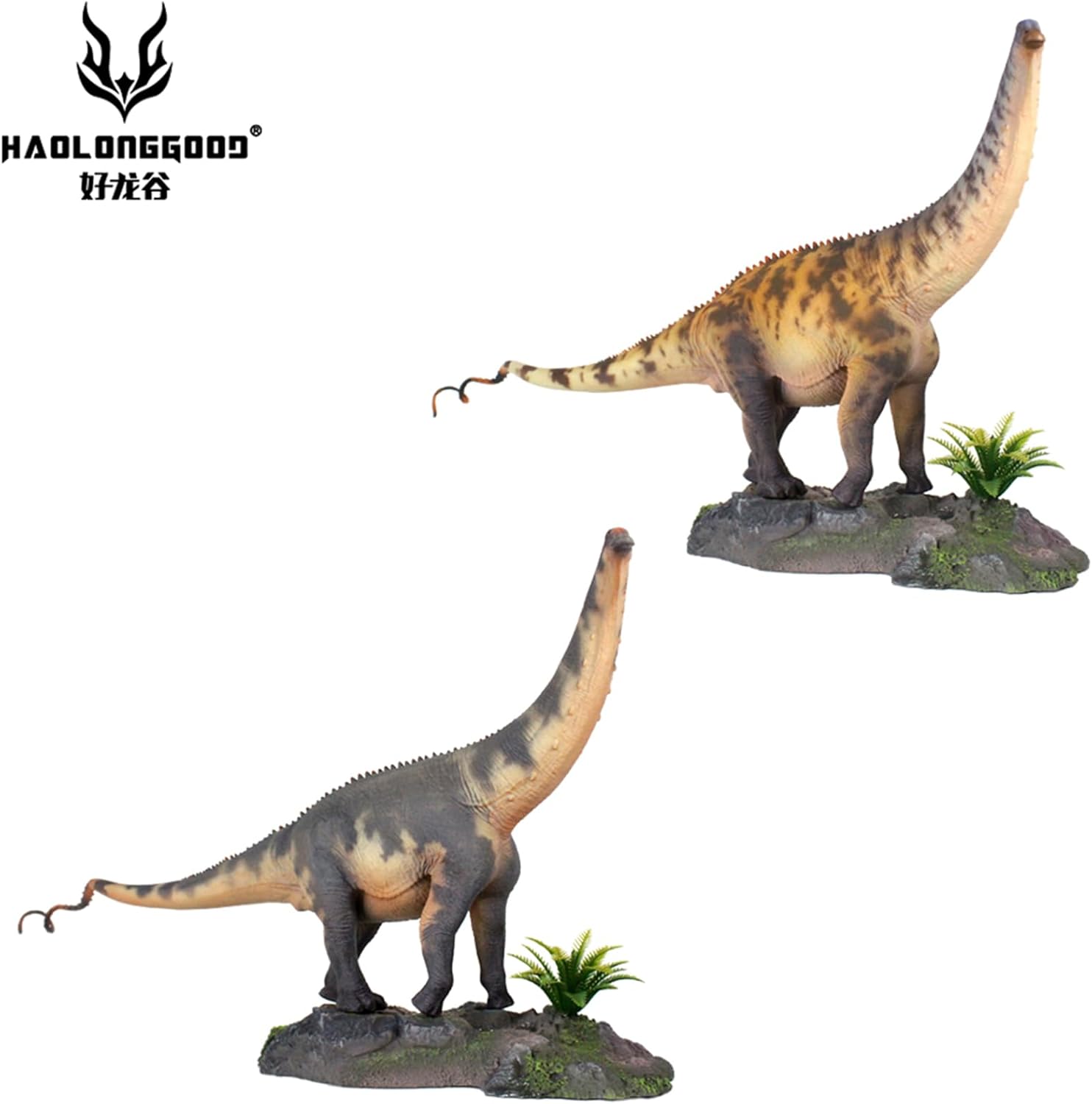 HAOLONGGOOD 1/35 サイズ ブロントサウルス 45.5cm級 PVC CE認証 塗装済 ジュラ紀 竜脚類 ディプロドクス科 草食系 恐竜 フィギュア リアル 模型 プラモデル おもちゃ 置物 (グレー)