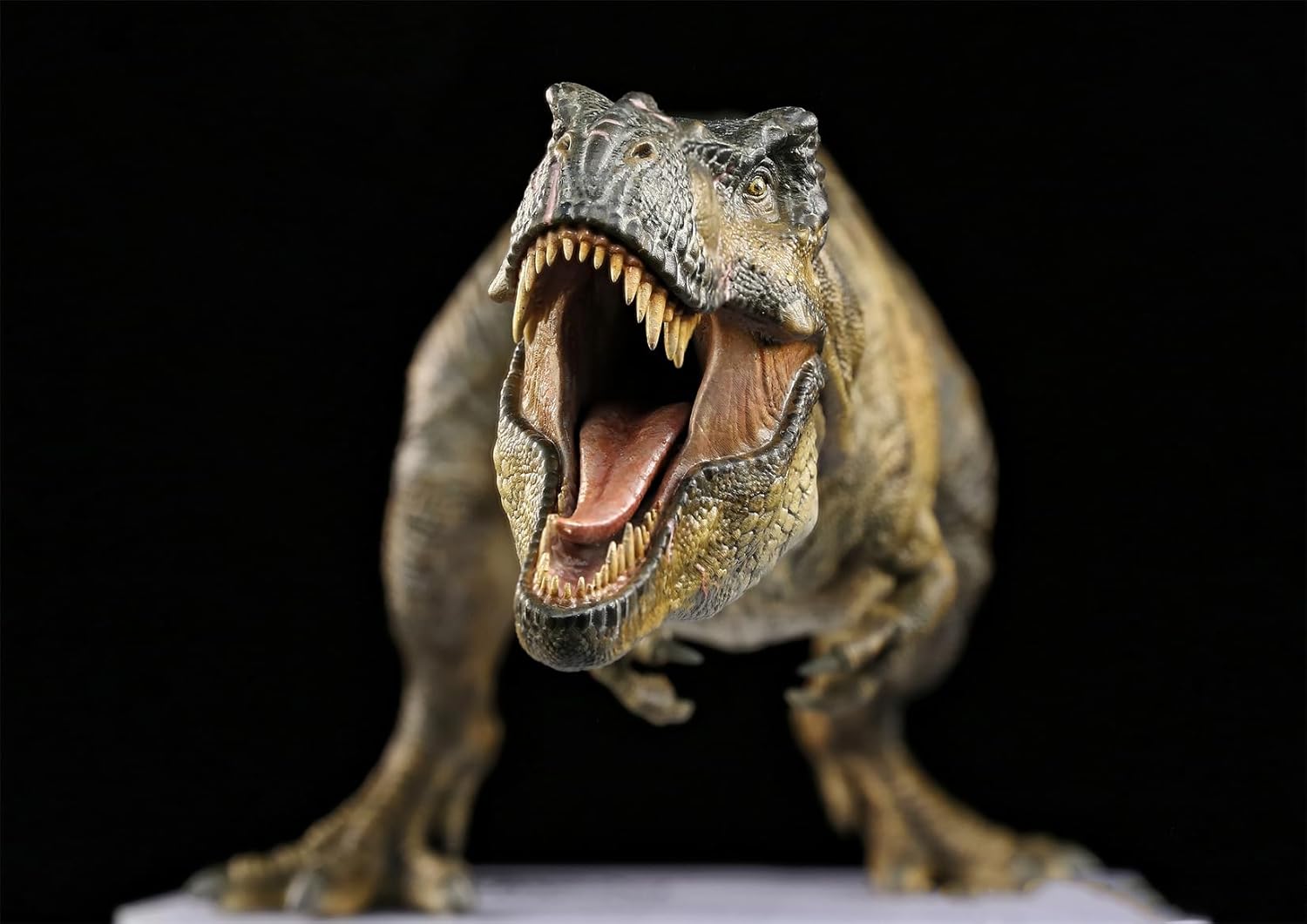 DINO DREAM 2025 1/30 サイズ ティラノサウルス フィギュア 全身 40cm級 白亜紀 獣脚類 大きい 肉食 恐竜 台座付け リアル 大人のコレクション 樹脂 プラモデル 模型 塗装済 置物 [並行輸入品]