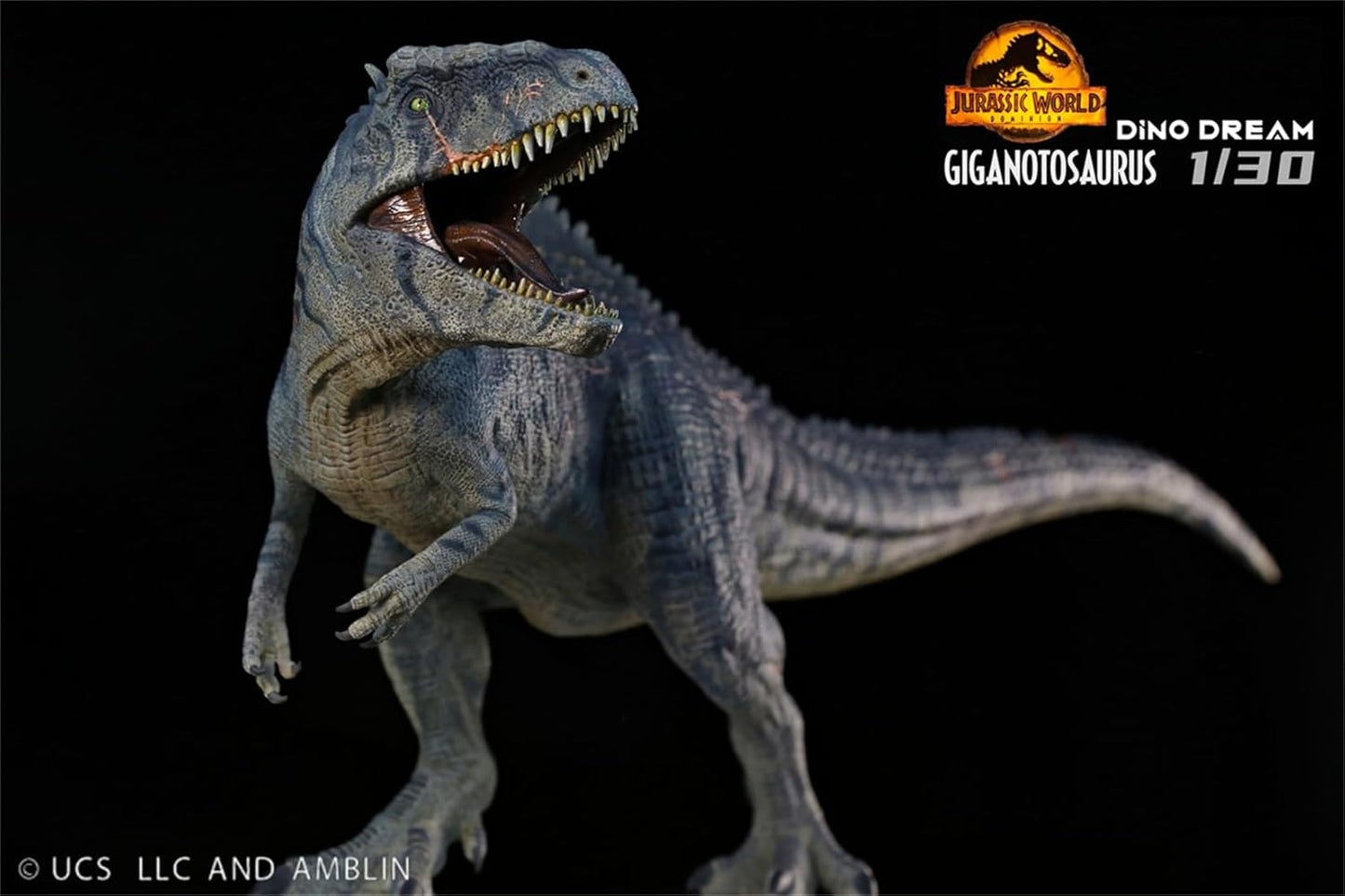 DINO DREAM 1/30 サイズ ギガノトサウルス 限定版 44.5cm級 The King of the Border カルカロドントサウルス科 PVC 樹脂 恐竜 大型 肉食 リアル フィギュア プラモデル 模型 プレゼント オリジナル 塗装済 完成品 置物
