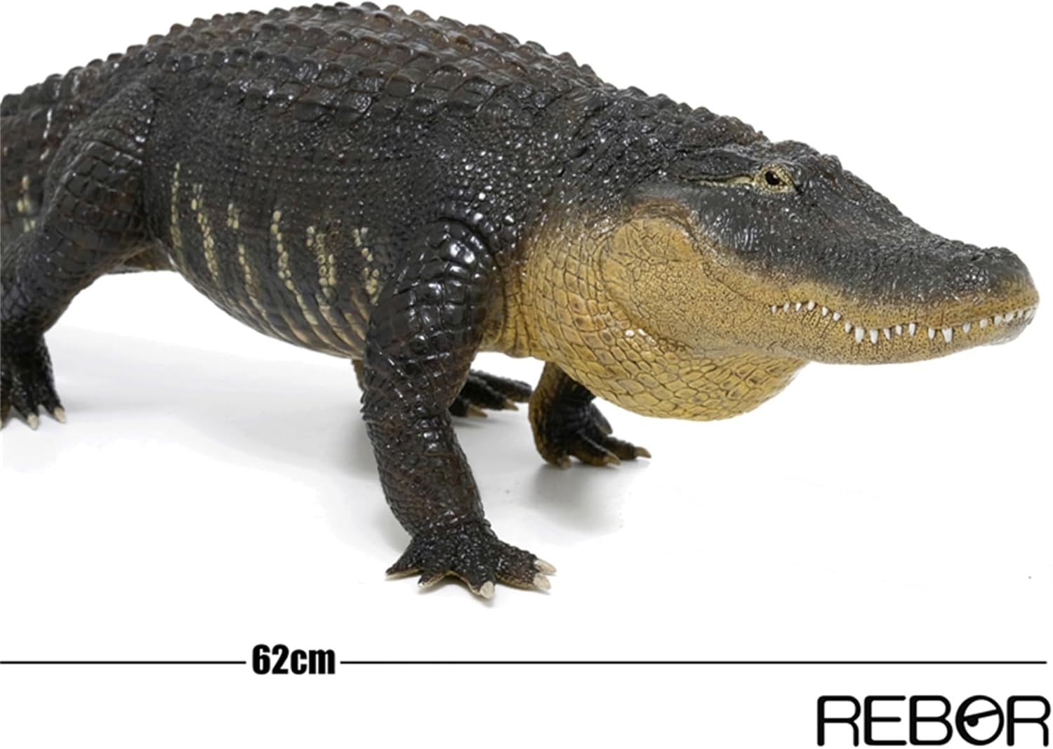 BACALYSO | REBOR 1/6 サイズ アメリカアリゲーター 動物 フィギュア ワニ アリゲーター属 ミシシッピワニ 62cm級 大口 恐ろしい 模型 情景 セット プラモデル 大人 おもちゃ オブジェ 置物 プレゼント 完成品 (ブラック)
