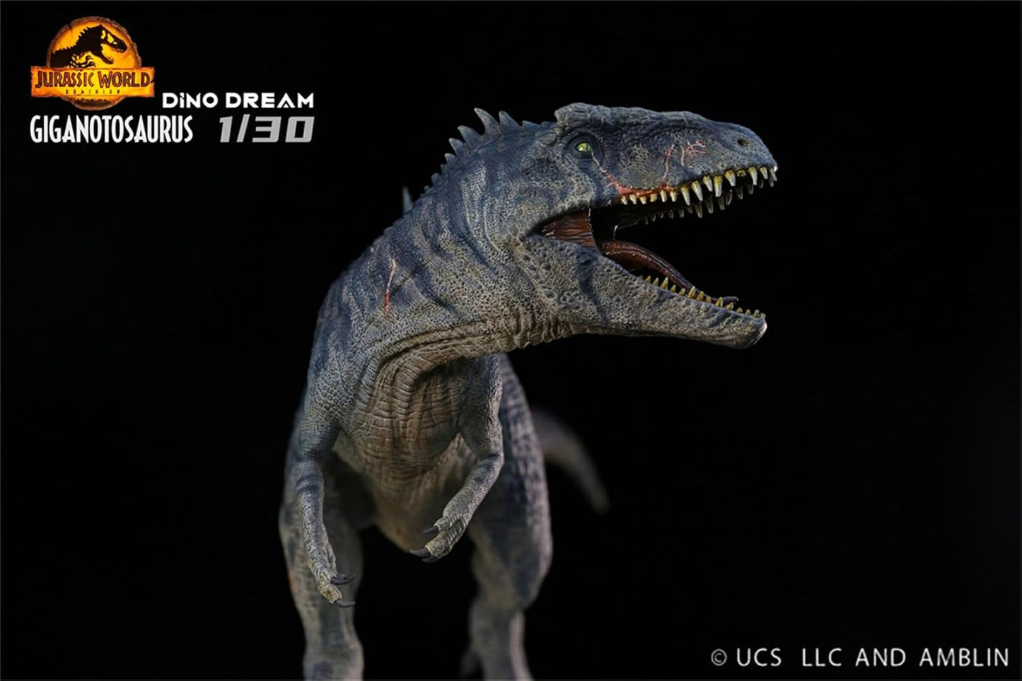 DINO DREAM 1/30 サイズ ギガノトサウルス 限定版 44.5cm級 The King of the Border カルカロドントサウルス科 PVC 樹脂 恐竜 大型 肉食 リアル フィギュア プラモデル 模型 プレゼント オリジナル 塗装済 完成品 置物