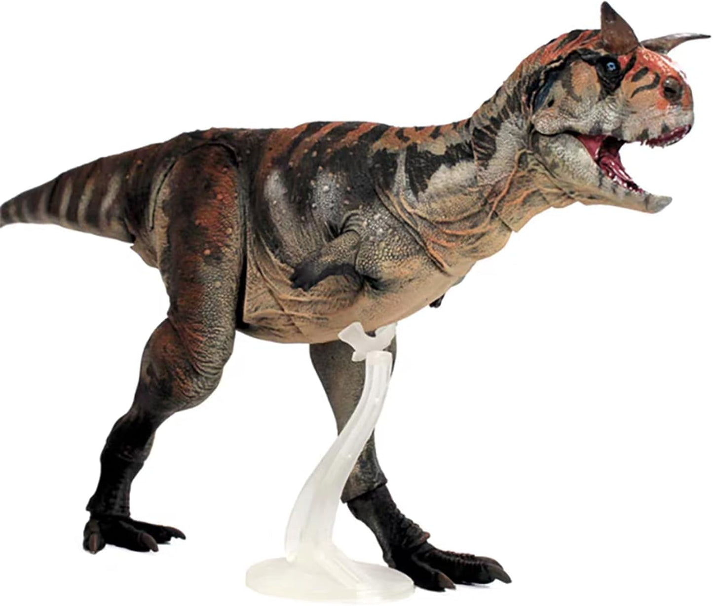 Creative Beast Studio 1/18 Carnotaurus Figure, Movable, Medieval Jurassic Dinosaur, 19.7 inches (50 cm), 19 Joints, PVC Model, Plastic Model, Toy, Freestanding, Display, Model Toy