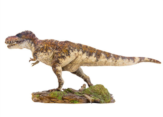 PNSO 限定版 豪華セット 1/35 サイズ ティラノサウルス・レックス Ｔ-REX Tレックス 恐竜 模型 フィギュア PVC プラモデル 37.5cm級 台座付き