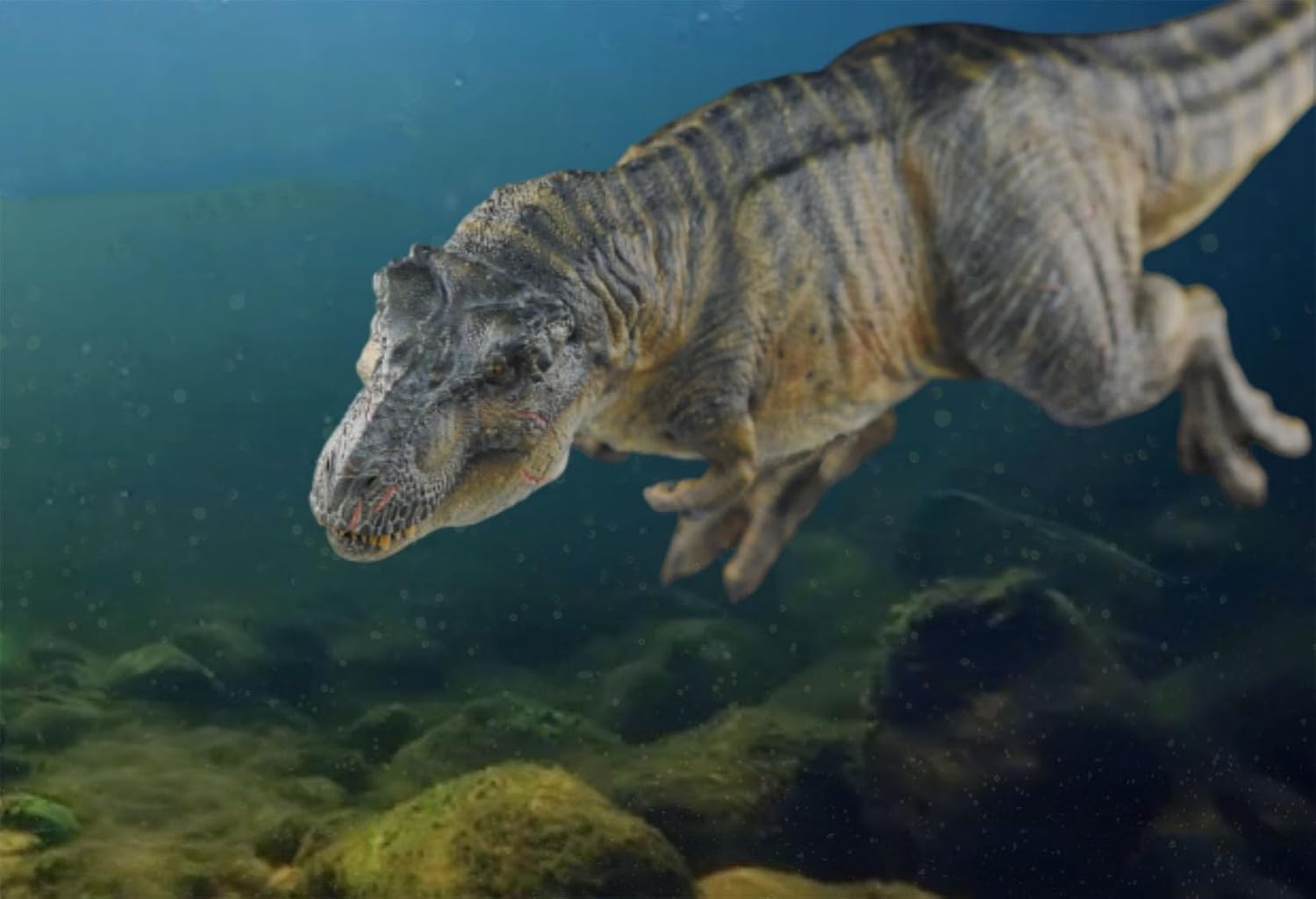 DINO DREAM 1/30 サイズ ティラノサウルス 水泳ポーズ フィギュア 全身 40cm級 白亜紀 獣脚類 恐竜 台座付け リアル 樹脂 プラモデル 模型 塗装済 置物 [並行輸入品]