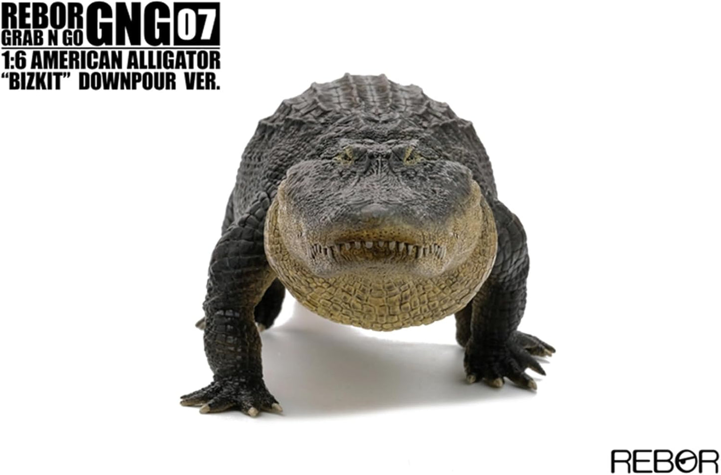 BACALYSO | REBOR 1/6 サイズ アメリカアリゲーター 動物 フィギュア ワニ アリゲーター属 ミシシッピワニ 62cm級 大口 恐ろしい 模型 情景 セット プラモデル 大人 おもちゃ オブジェ 置物 プレゼント 完成品 (ブラック)