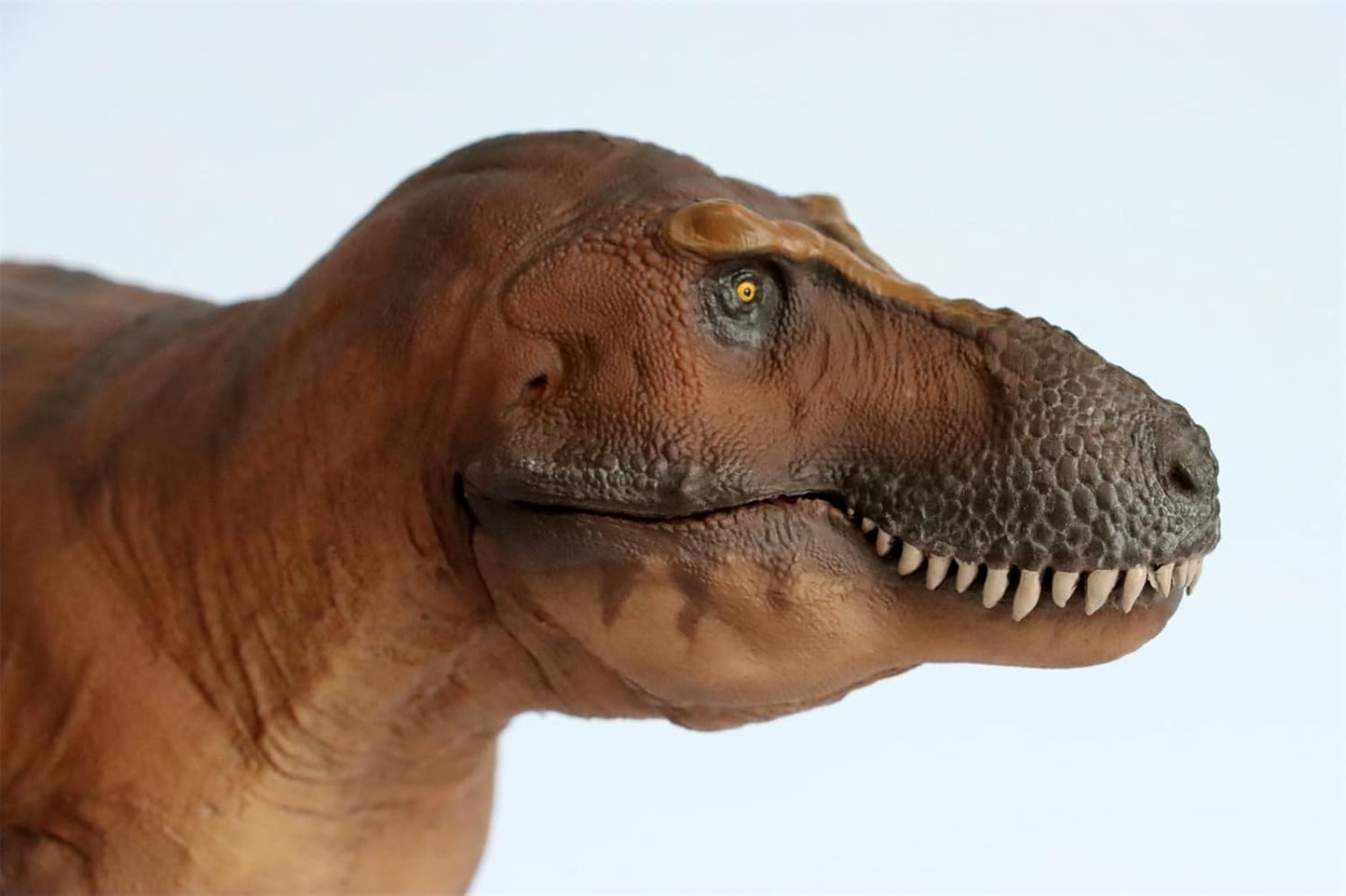 PNSO 恐竜博物館 1/35 サイズ ティラノサウルス T-REX フィギュア 35cm級 頭蓋骨付属 恐竜 PVC おもちゃ 模型