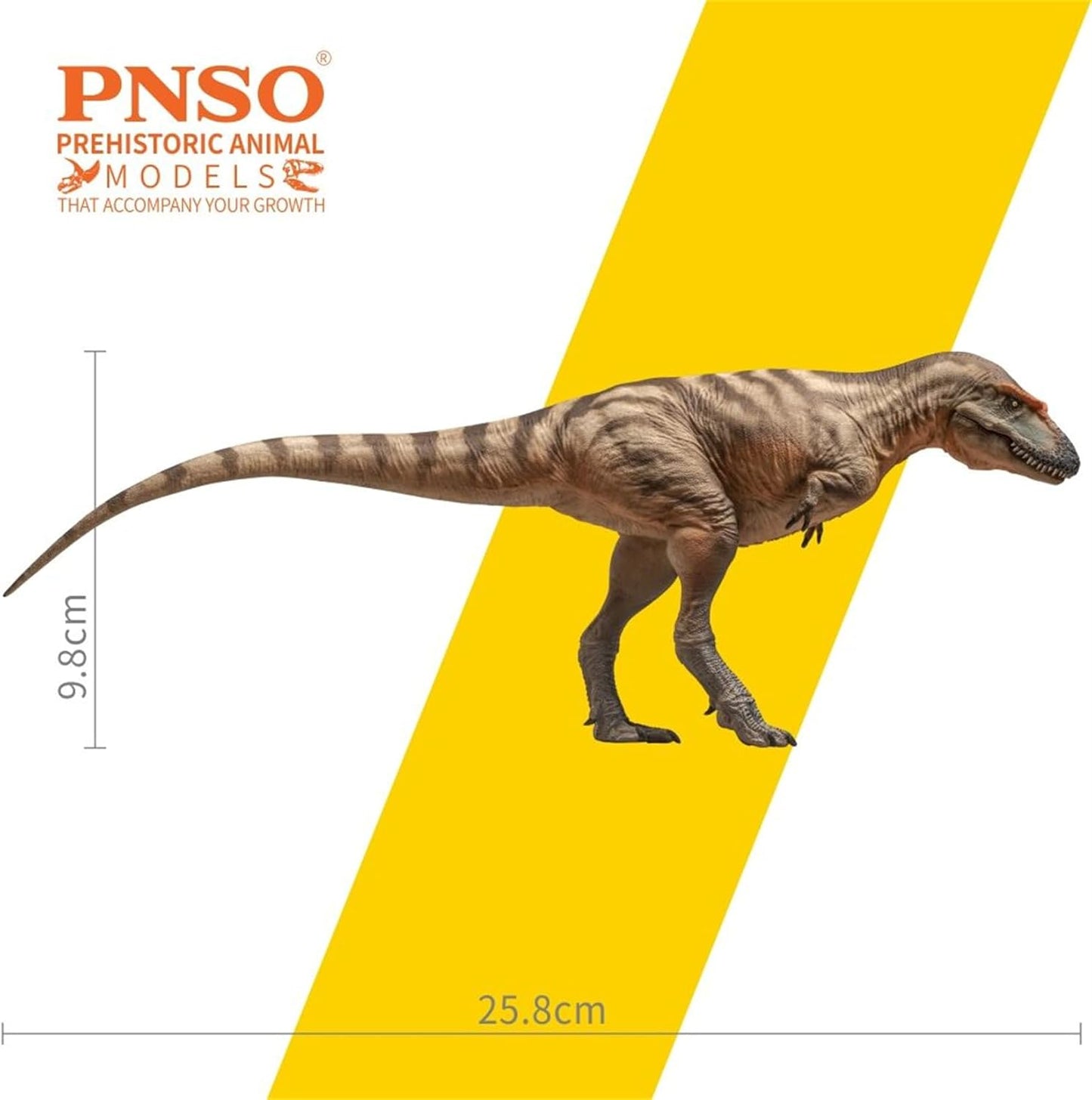 PNSO 成長シリーズ 71 ゴルゴサウルス フィギュア 25.8cm級  恐竜 PVC おもちゃ 模型