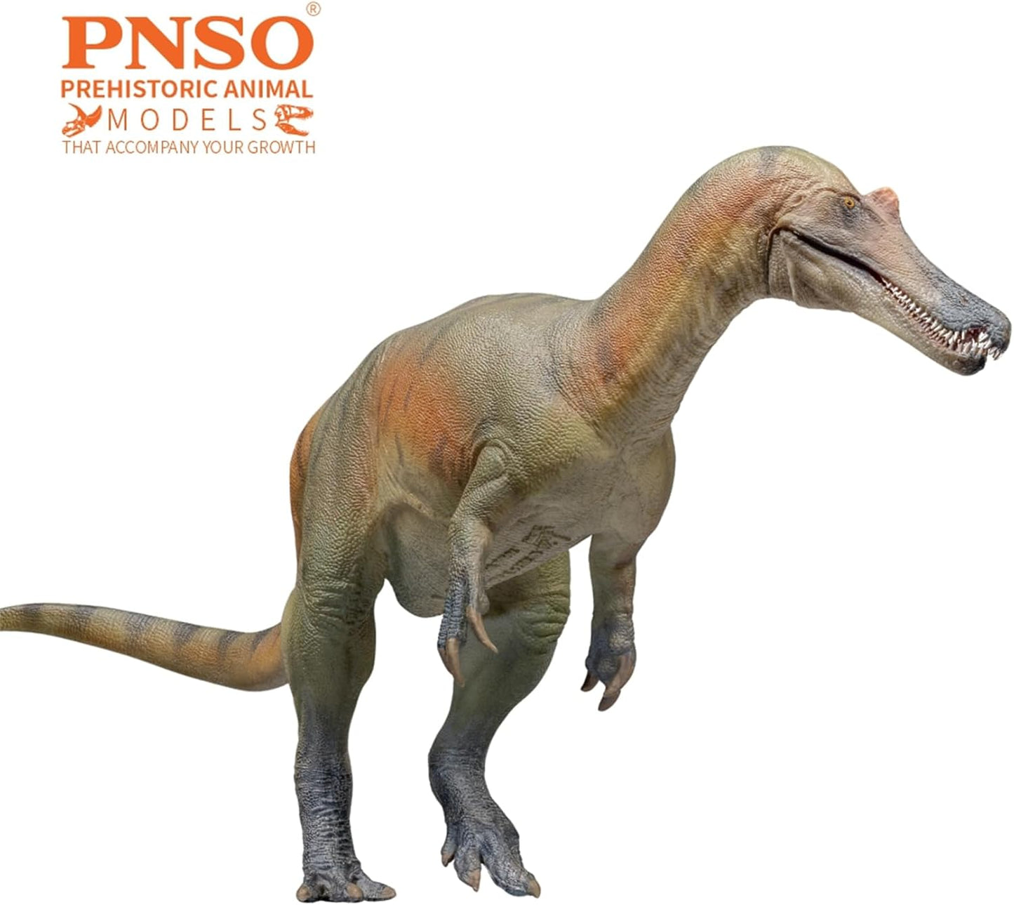 PNSO 成長シリーズ 84 バリオニクス フィギュア 恐竜 24cm級 PVC おもちゃ 模型