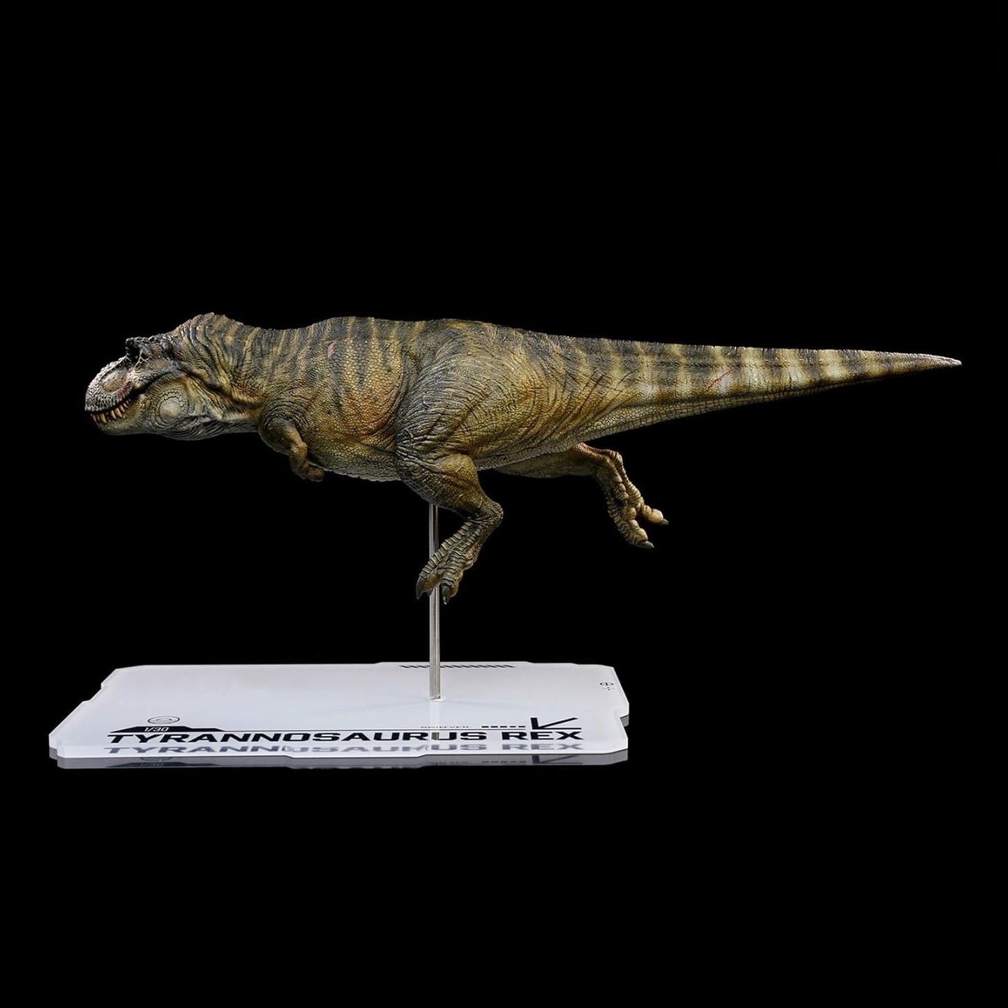 DINO DREAM 1/30 サイズ ティラノサウルス 水泳ポーズ フィギュア 全身 40cm級 白亜紀 獣脚類 恐竜 台座付け リアル 樹脂 プラモデル 模型 塗装済 置物 [並行輸入品]