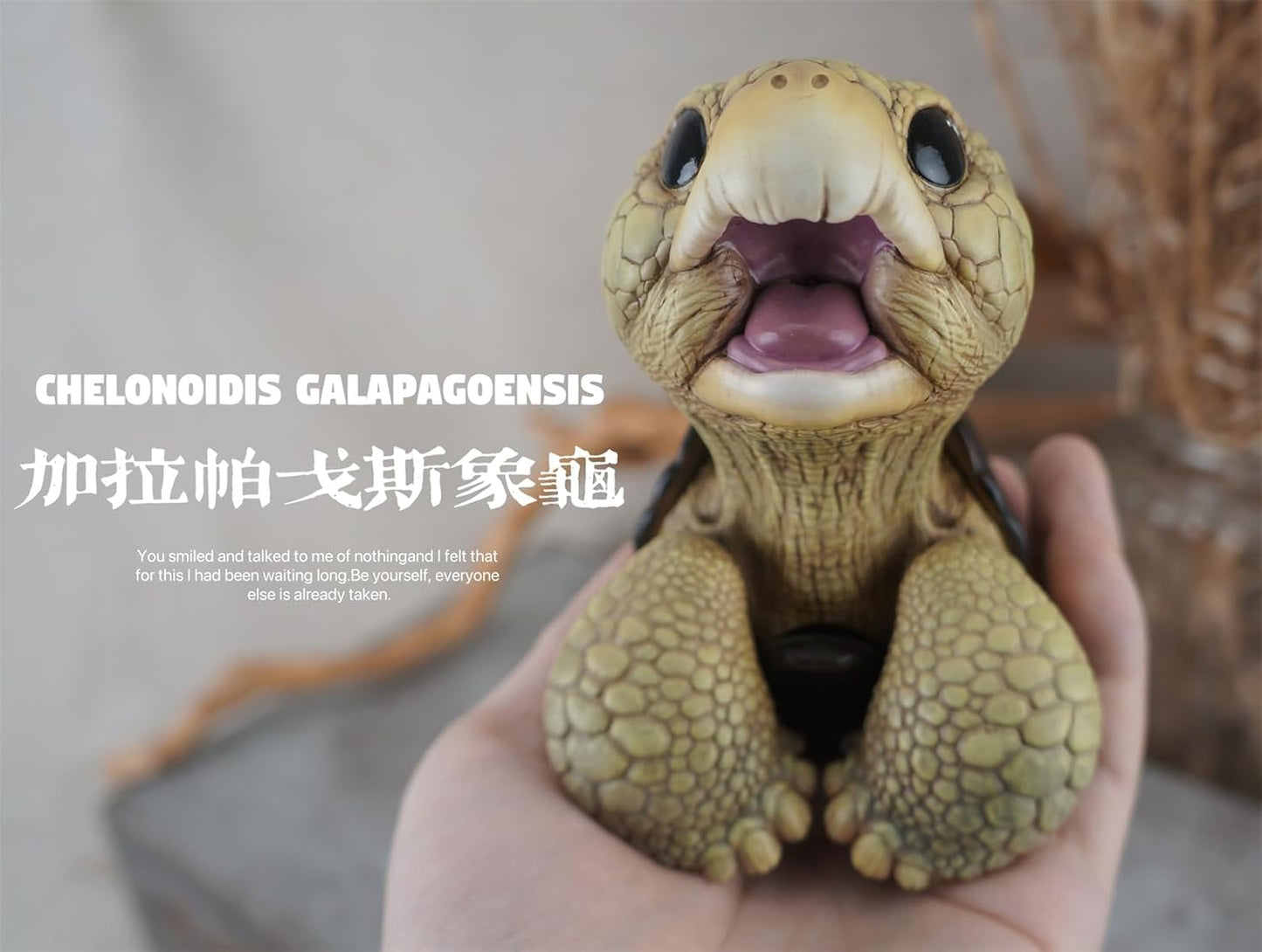 博物志 アカアシガメ ガラパゴスゾウガメ リクガメ 7-11CM級 樹脂 フィギュア 亀好き 爬虫綱 亀 動物 可愛い リアル プラモデル おもちゃ 模型 置物 (ガラパゴスゾウガメ) [並行輸入品]