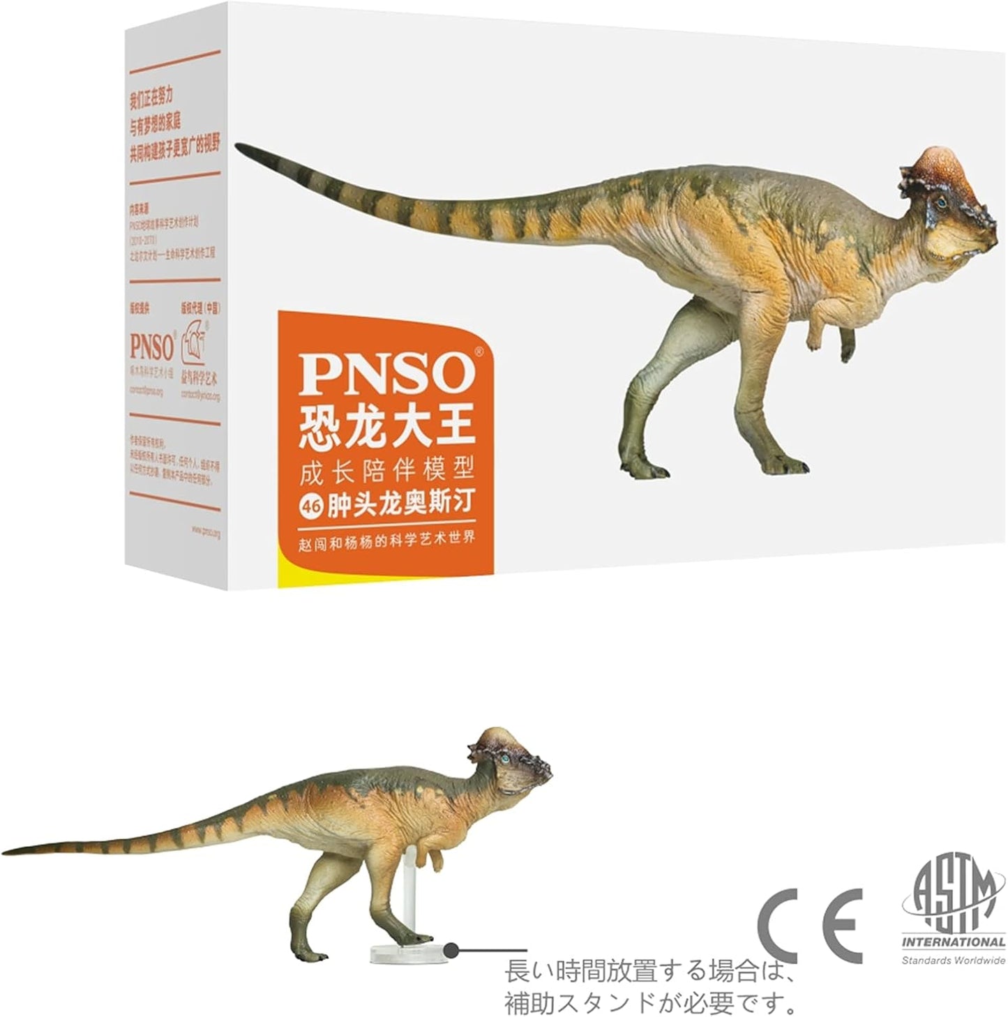 PNSO 成長シリーズ パキケファロサウルス 恐竜 動物 フィギュア プラモデル おもちゃ 模型 PVC 17.8cm級