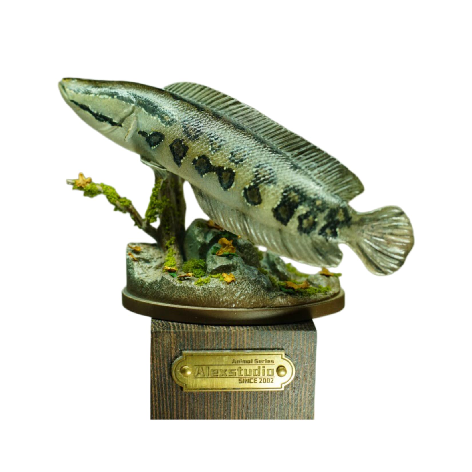 Alex STUDIO カムルチー フィギュア 魚 タイワンドジョウ科 動物 海洋生物 リアル 樹脂 プラモデル 大人のおもちゃ 模型 プレゼント 置物 台座付き (1/6) [並行輸入品]