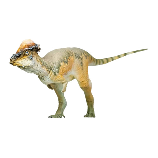 PNSO 成長シリーズ パキケファロサウルス 恐竜 動物 フィギュア プラモデル おもちゃ 模型 PVC 17.8cm級