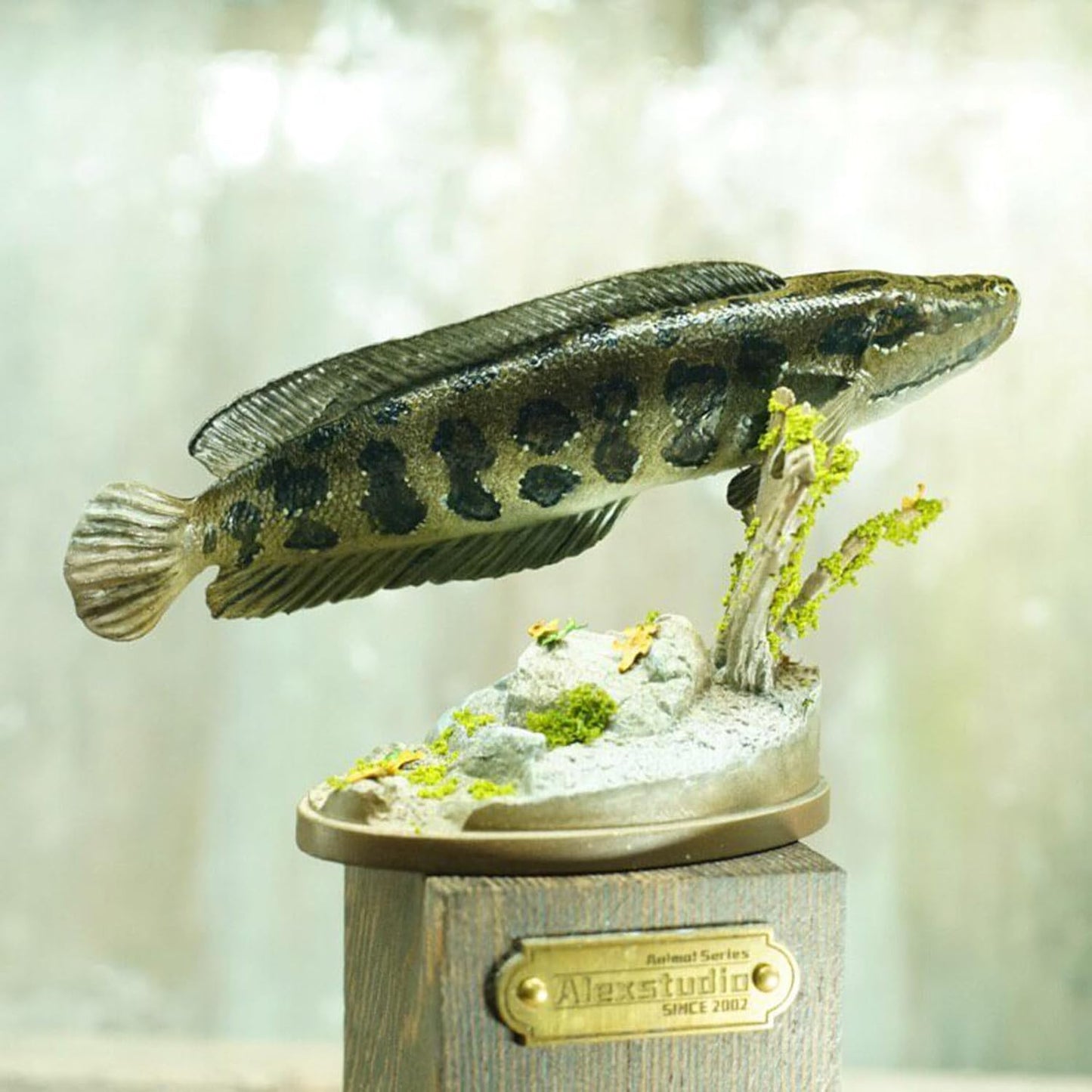 Alex STUDIO カムルチー フィギュア 魚 タイワンドジョウ科 動物 海洋生物 リアル 樹脂 プラモデル 大人のおもちゃ 模型 プレゼント 置物 台座付き (1/6) [並行輸入品]