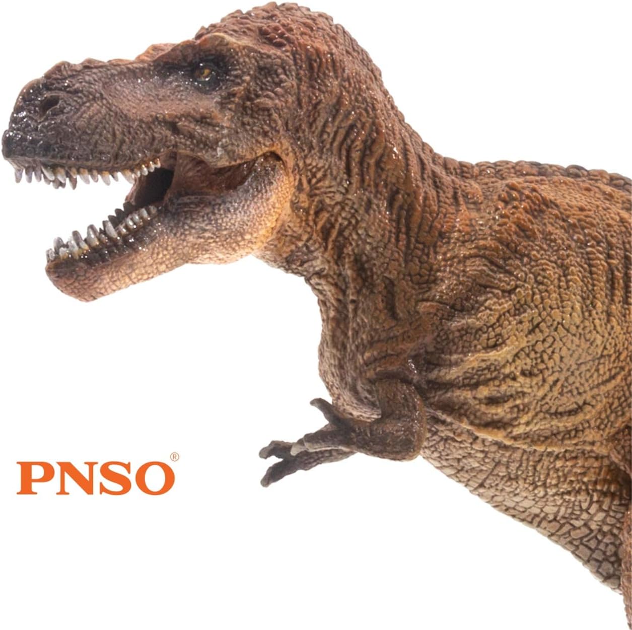 PNSO 成長シリーズ ティラノサウルス・レックス ウィルソン T