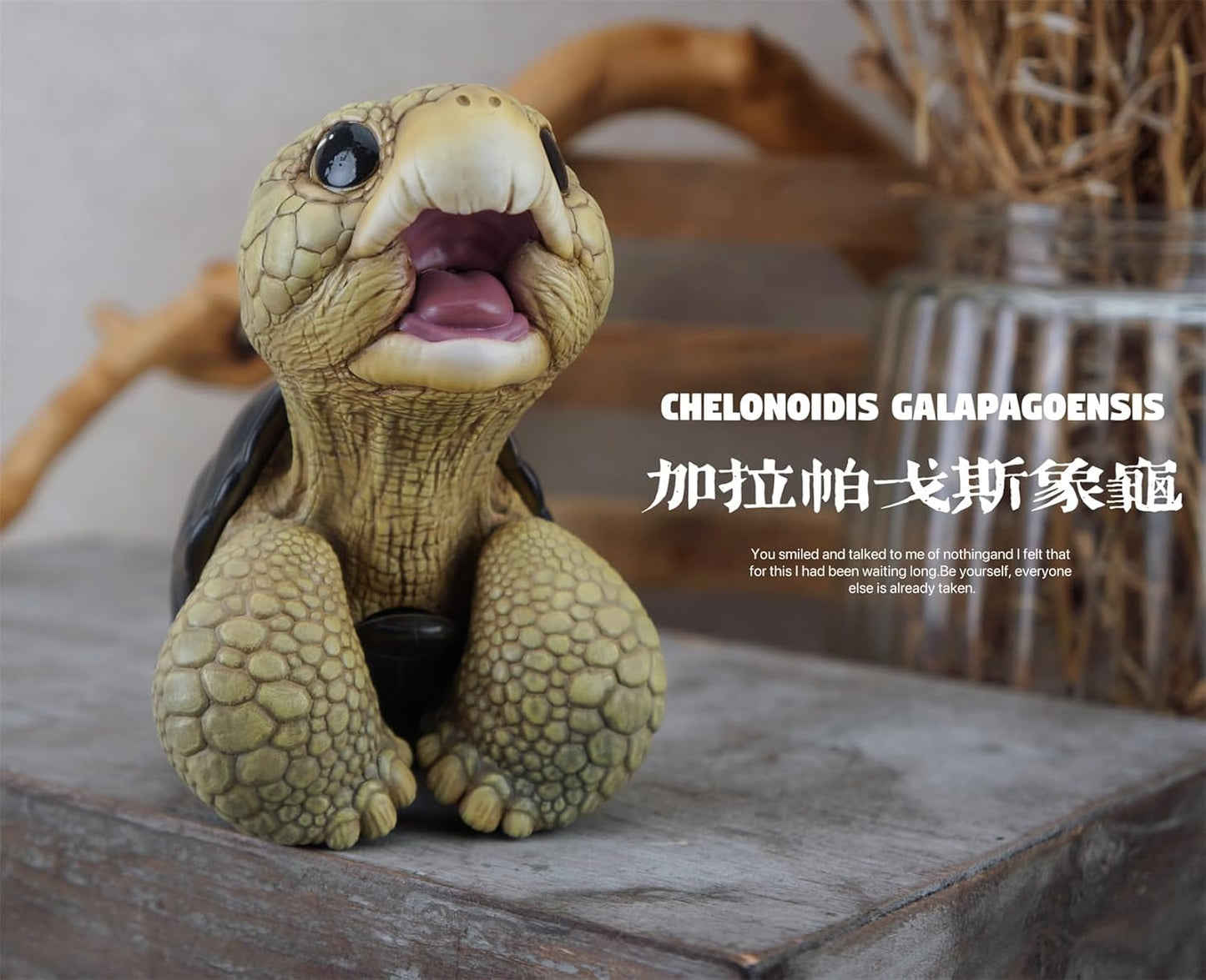 博物志 アカアシガメ ガラパゴスゾウガメ リクガメ 7-11CM級 樹脂 フィギュア 亀好き 爬虫綱 亀 動物 可愛い リアル プラモデル おもちゃ 模型 置物 (ガラパゴスゾウガメ) [並行輸入品]