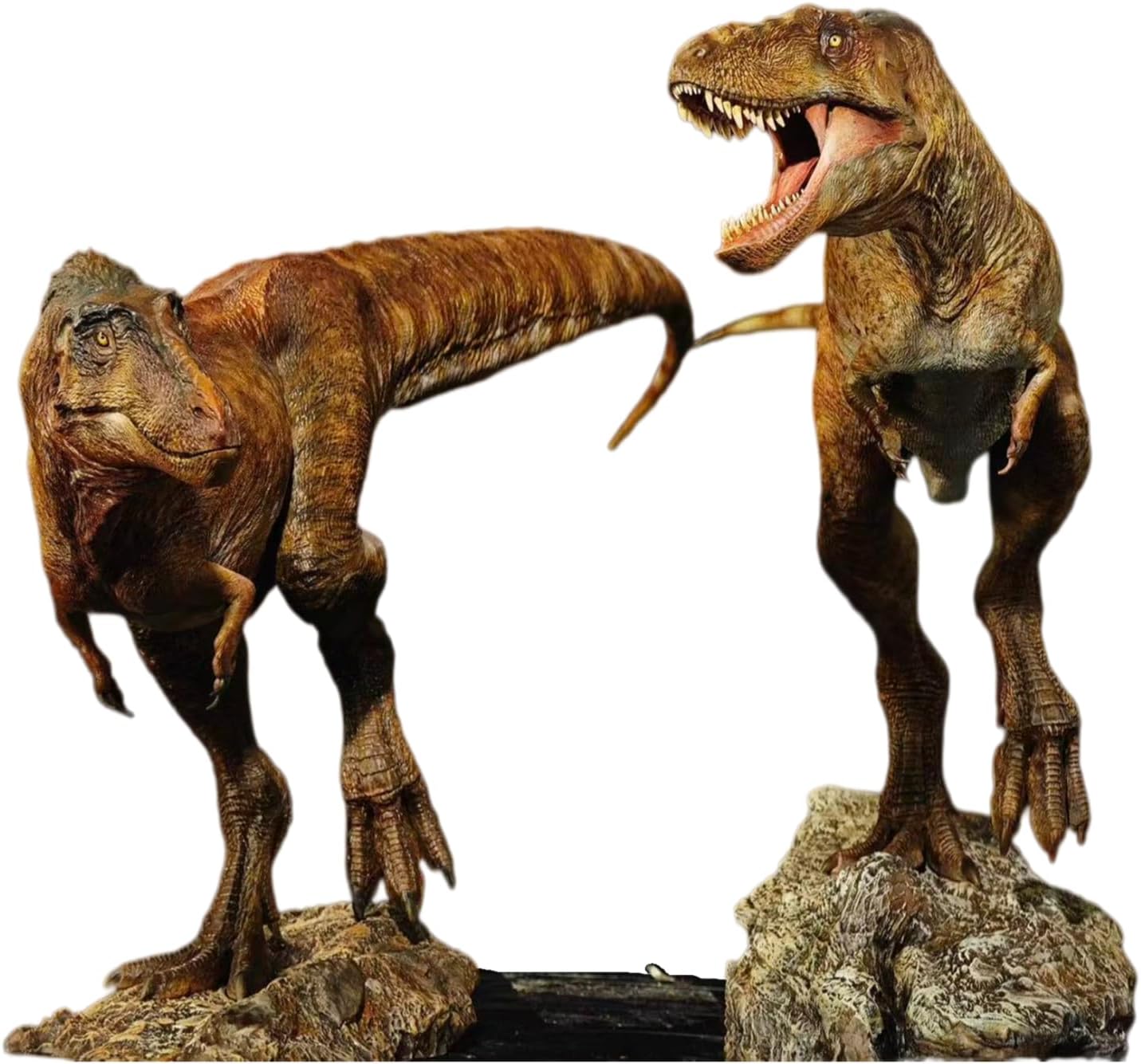 Carson Long STUDIO アジアティラヌス 2体セット ティラノサウルス科 白亜紀 大型の獣脚類 恐竜 リアル フィギュア 樹脂 プラモデル 模型 スタチュー 台座付き (塗装済み, 1/18) [並行輸入品]