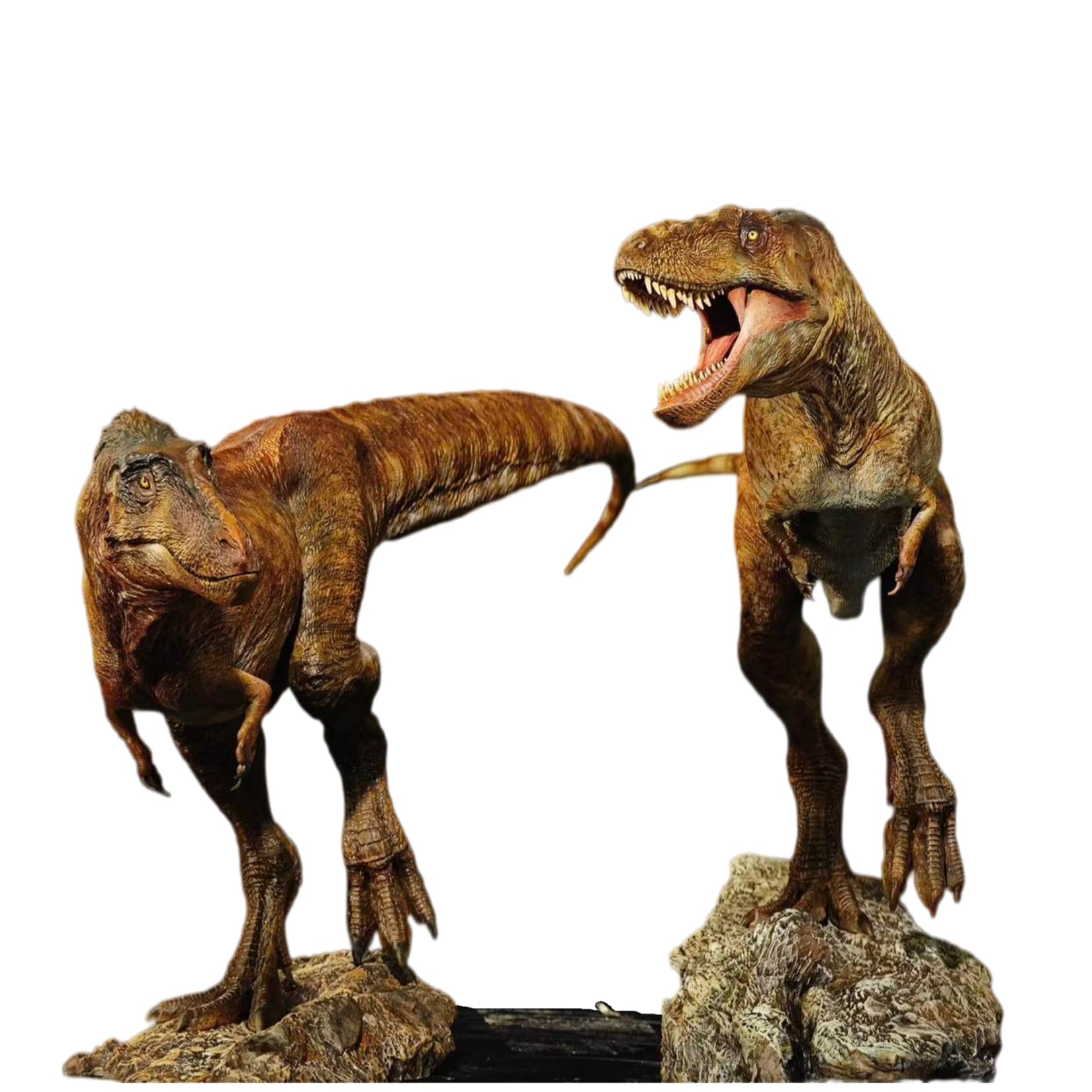 Carson Long STUDIO アジアティラヌス 2体セット ティラノサウルス科 白亜紀 大型の獣脚類 恐竜 リアル フィギュア 樹脂 プラモデル 模型 スタチュー 台座付き (塗装済み, 1/18) [並行輸入品]