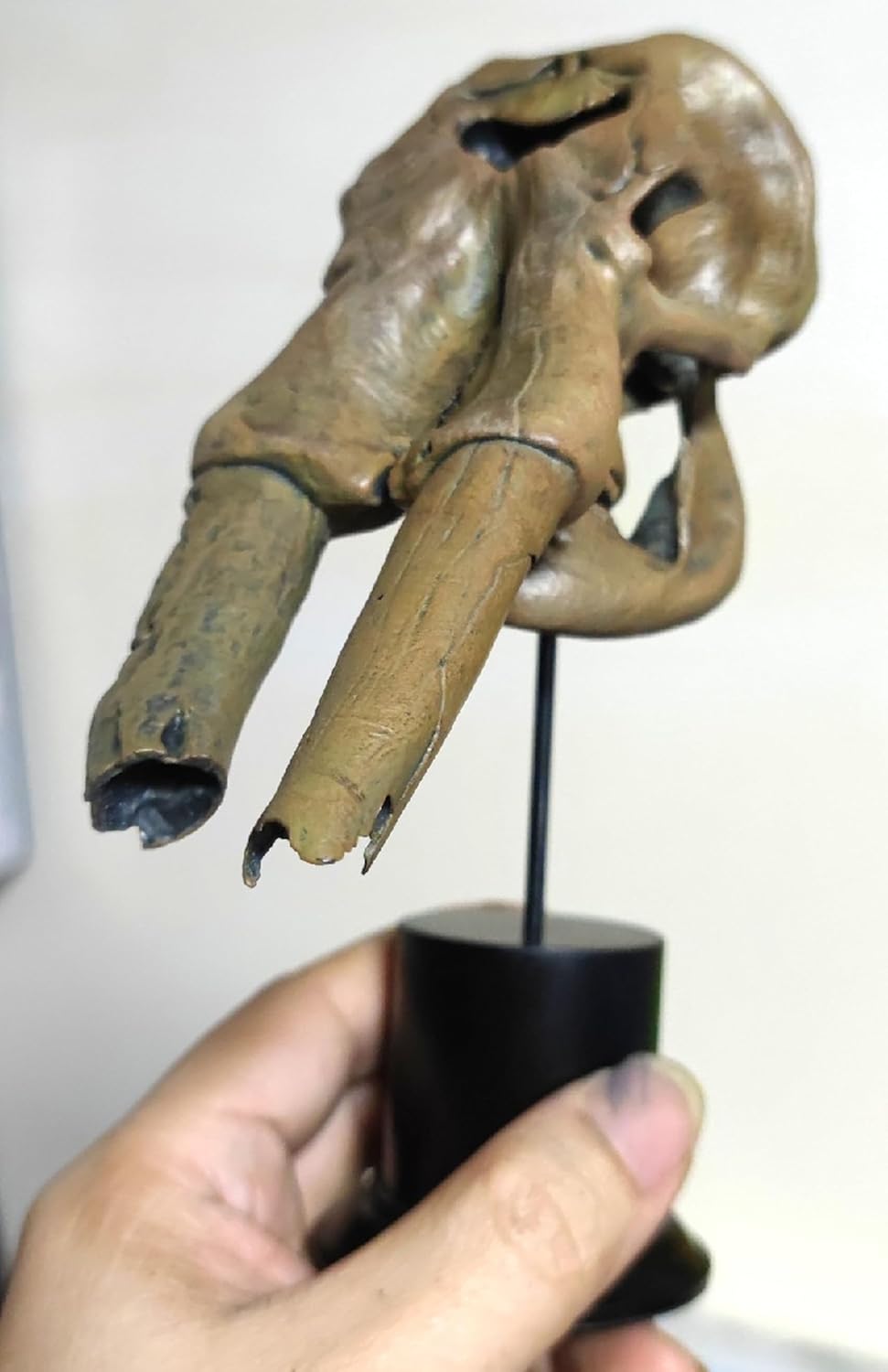 VWUVWU 1/20 スケール コウガゾウ フィギュア 10CM級 骨格 化石 動物 恐竜 リアル 台座 樹脂 プラモデル コレクション 模型 完成品 [並行輸入品]