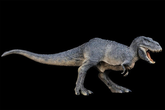 BACALYSO |REBOR 1/35 サイズ ティラノサウルス フィギュア Tレックス T-REX 獣脚類 恐竜 42cm級 口開閉可能 恐ろしい 模型 白亜紀 情景セット プラモデル 大人おもちゃ 置物 プレゼント (山脈)