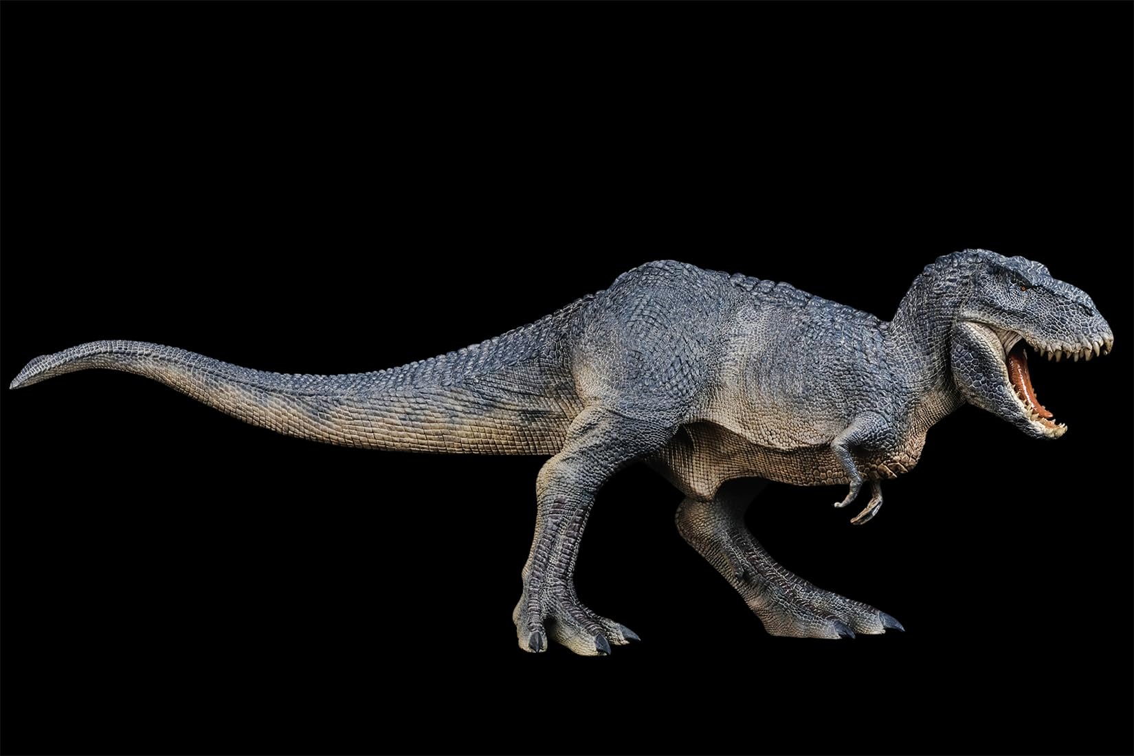 BACALYSO |REBOR 1/35 サイズ ティラノサウルス フィギュア Tレックス T-REX 獣脚類 恐竜 42cm級 口開閉可能 恐ろしい 模型 白亜紀 情景セット プラモデル 大人おもちゃ 置物 プレゼント (山脈)