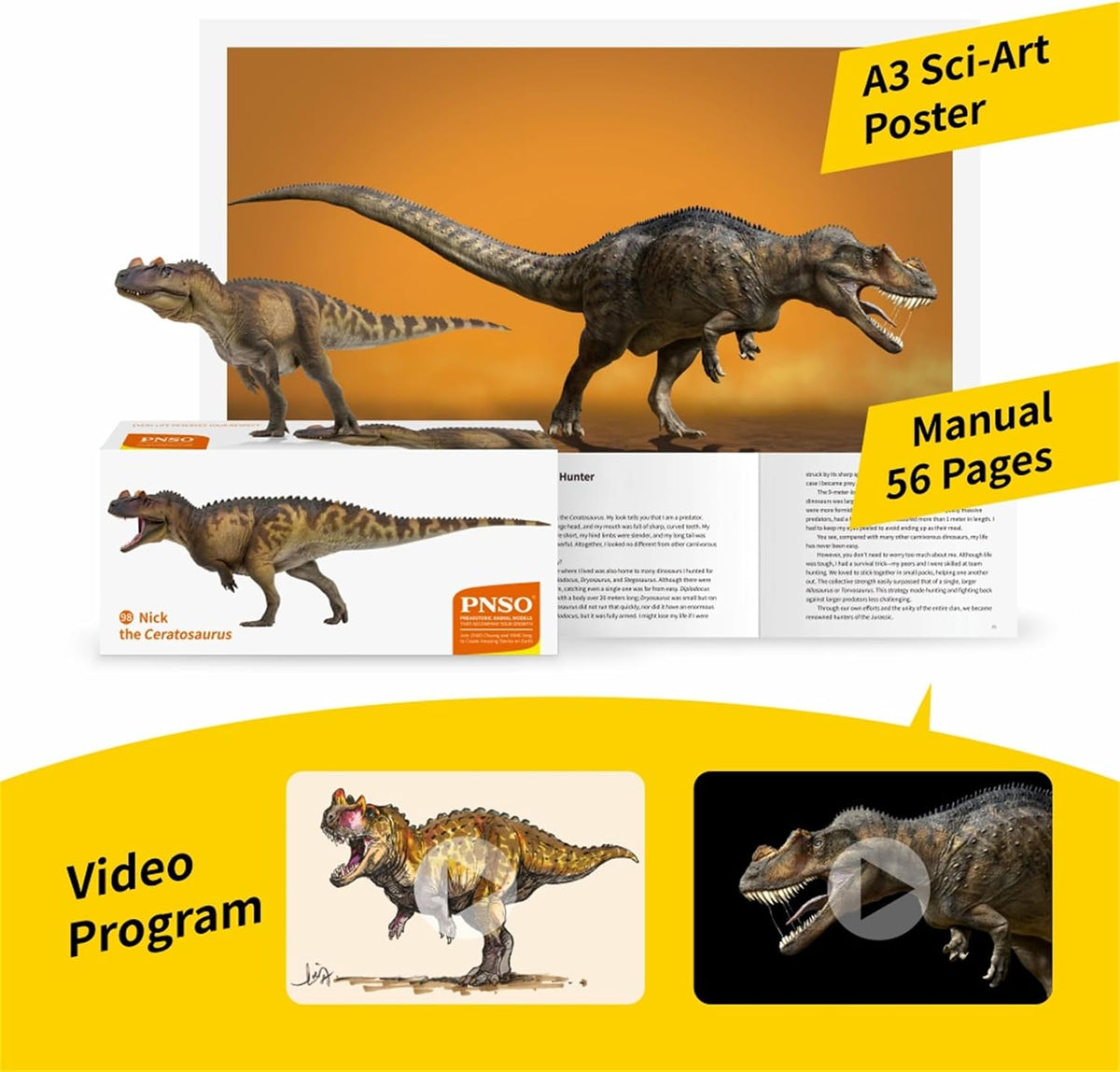 PNSO 成長シリーズ 98 ケラトサウルス フィギュア ジュラ紀 ケラトサウルス科 獣脚類 24.5cm級 恐竜 PVC おもちゃ 模型 恐竜好き [並行輸入品]