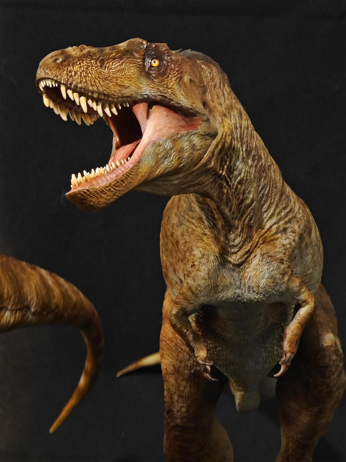 Carson Long STUDIO アジアティラヌス 2体セット ティラノサウルス科 白亜紀 大型の獣脚類 恐竜 リアル フィギュア 樹脂 プラモデル 模型 スタチュー 台座付き (塗装済み, 1/18) [並行輸入品]