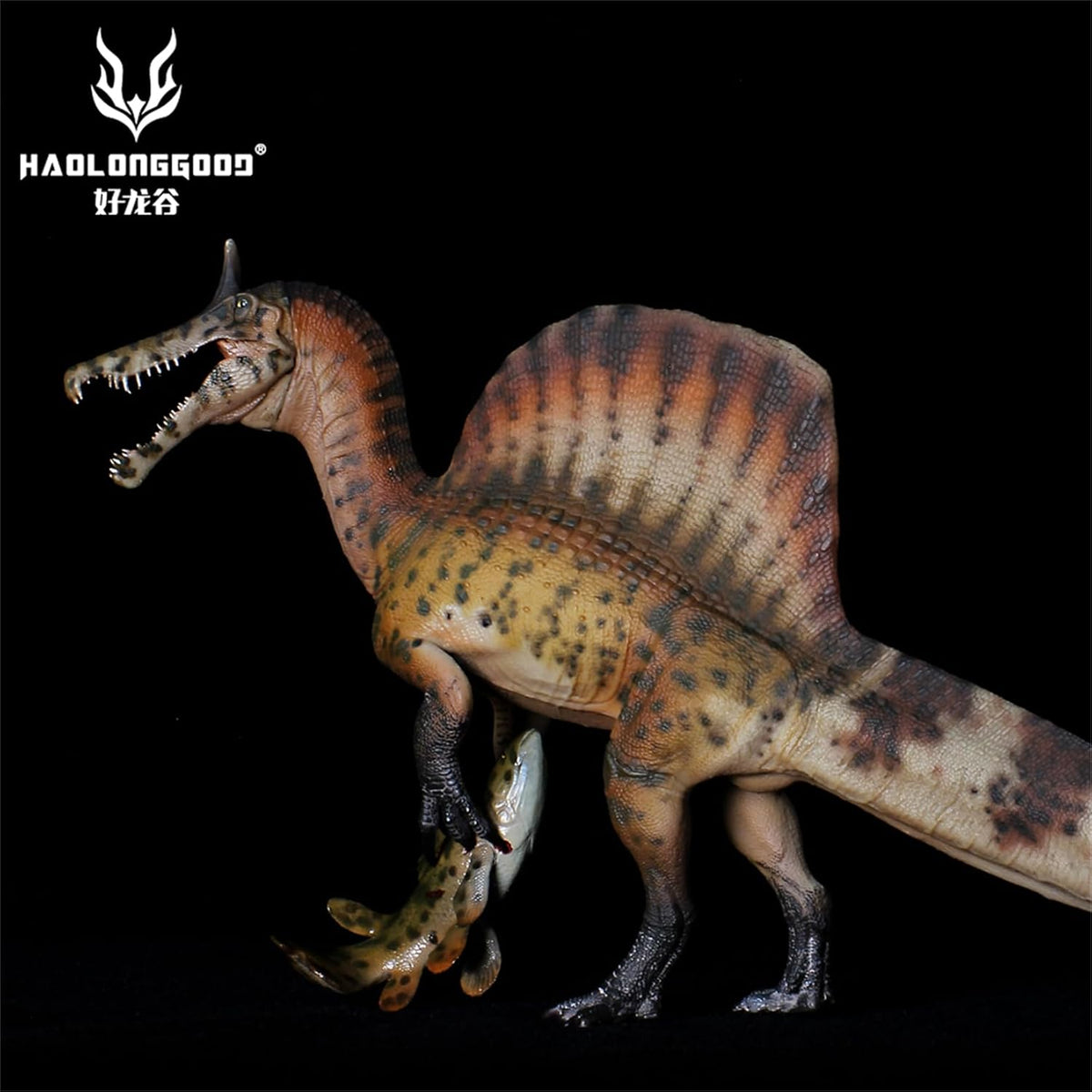 HAOLONGGOOD 1/35 スピノサウルス・ミラビリス フィギュア 28cm級 白亜紀 スピノサウルス科 恐竜 PVC製 CE認証 塗装済 リアル，190A [並行輸入品]