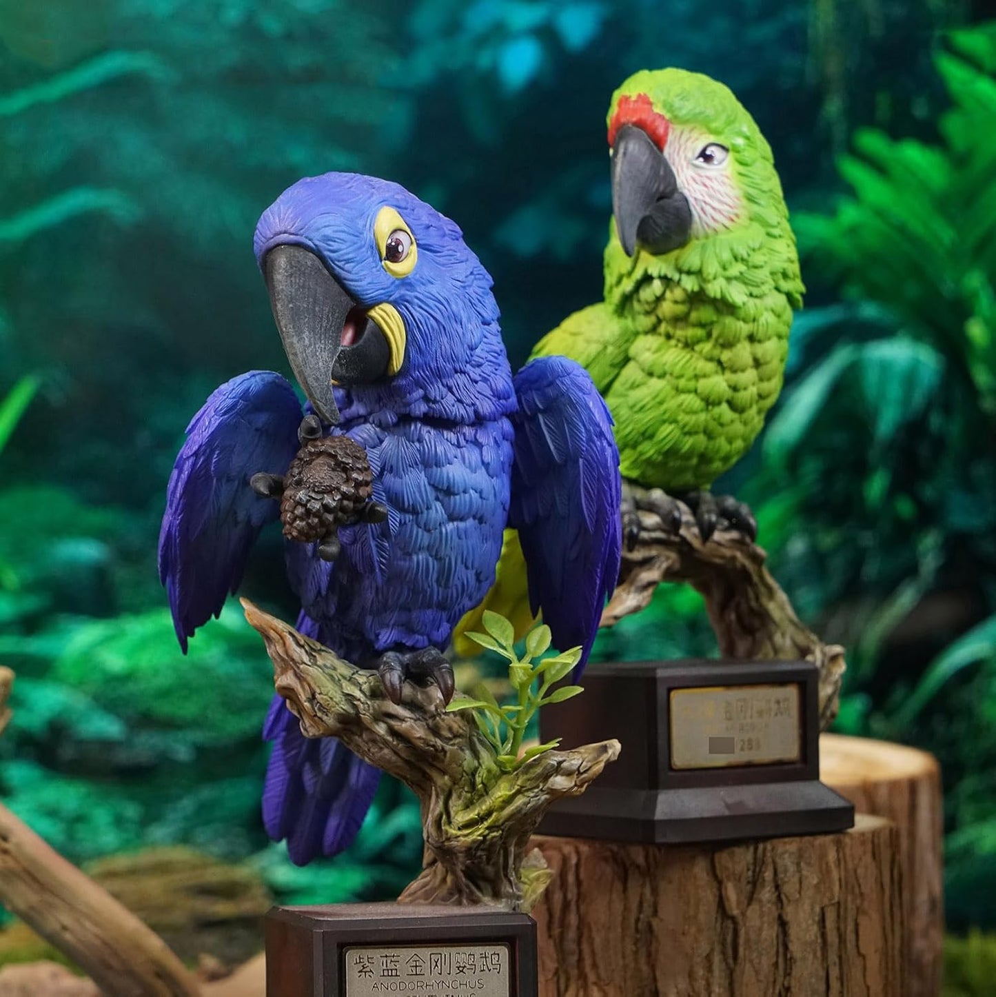 動物バンバン 鳥シリーズ第5弾 ヒワコンゴウインコ スミレコンゴウインコ フィギュア オス メス 台座付き 14cm級 リアル 可愛い プラモデル 大人のコレクション スタチュー 模型 プレゼント 撮影道具 置物 (2点セット) [並行輸入品]