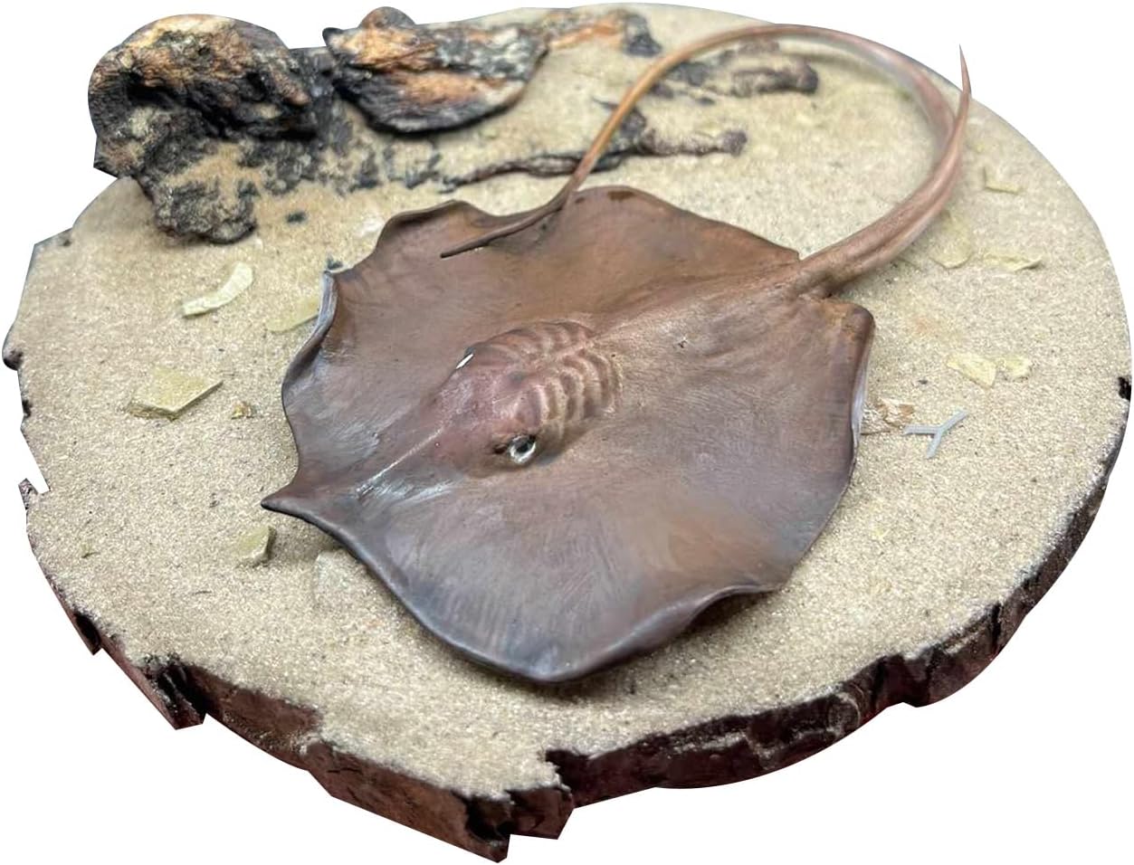 BACALYSO | ALEX STUDIO Plaque Lavane Figure, Endangered, World's Largest Freshwater Fish, Stingray Family, Thorny Stingray, Resin, Painted, Cute, Realistic Animal, Plastic Model, Toy, Figurine (1/15)