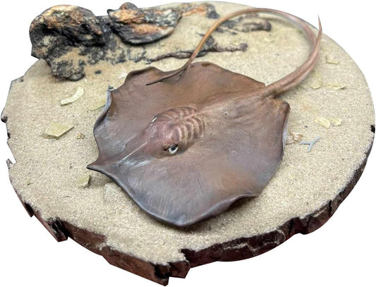 BACALYSO | ALEX STUDIO Plaque Lavane Figure, Endangered, World's Largest Freshwater Fish, Stingray Family, Thorny Stingray, Resin, Painted, Cute, Realistic Animal, Plastic Model, Toy, Figurine (1/15)