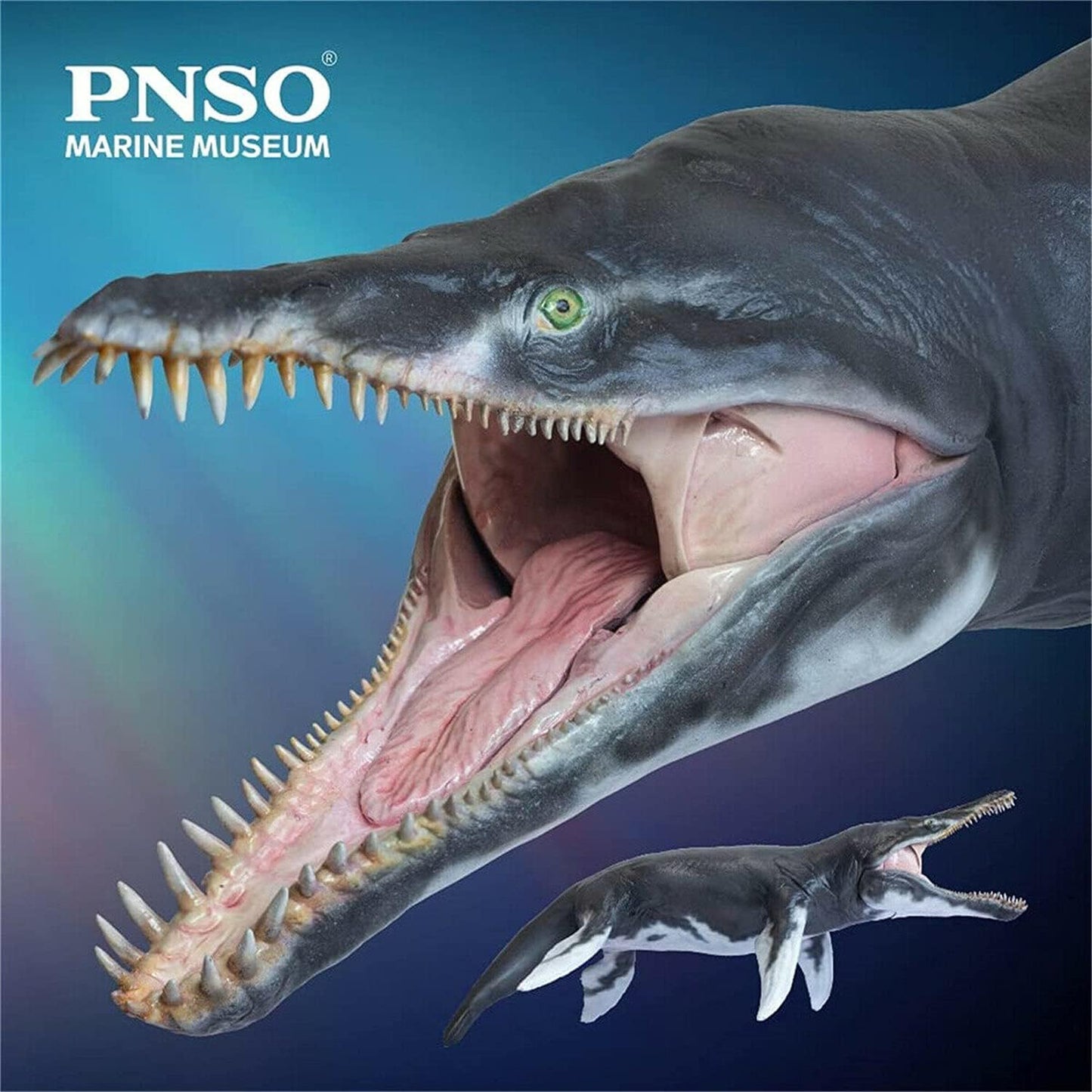 PNSO 1/35 サイズ クロノサウルス 海洋博物館 恐竜 リアル フィギュア PVC モデル 模型 29.5cm級
