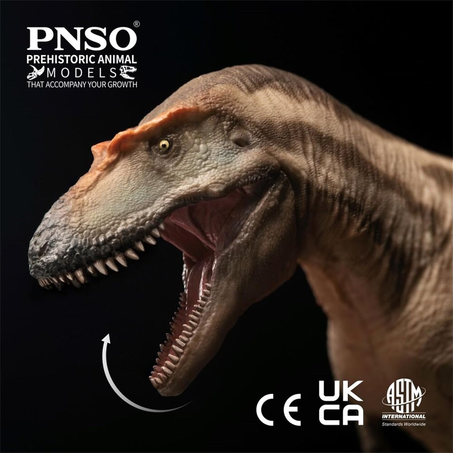 PNSO 成長シリーズ 71 ゴルゴサウルス フィギュア 25.8cm級  恐竜 PVC おもちゃ 模型