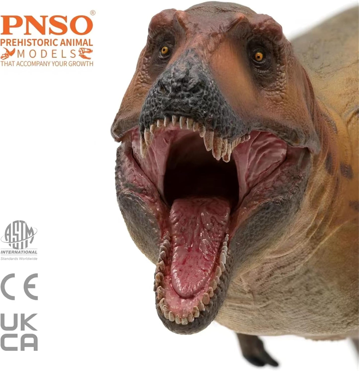 PNSO 成長シリーズ 70 リトロナクス フィギュア 26cm級 恐竜 PVC おもちゃ 科学 模型