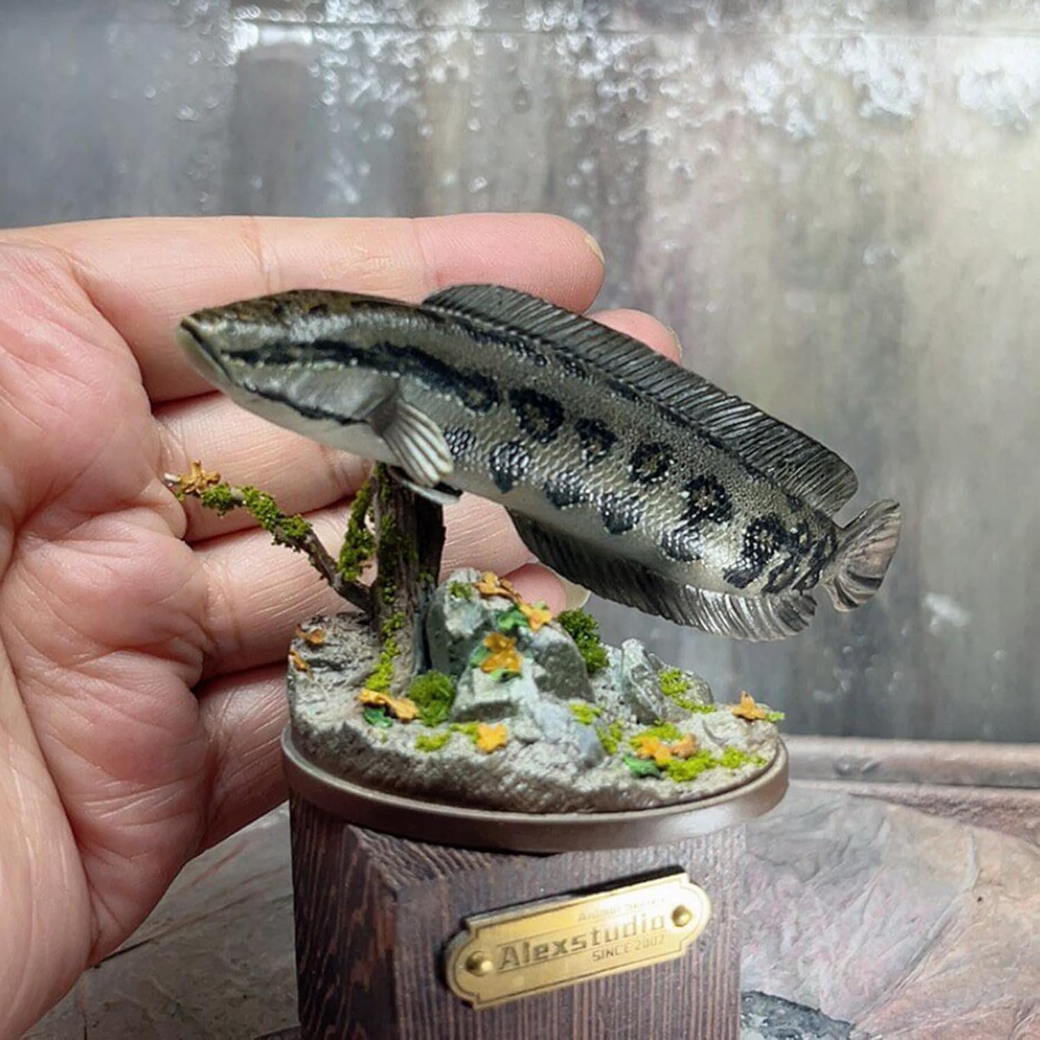 Alex STUDIO カムルチー フィギュア 魚 タイワンドジョウ科 動物 海洋生物 リアル 樹脂 プラモデル 大人のおもちゃ 模型 プレゼント 置物 台座付き (1/6) [並行輸入品]