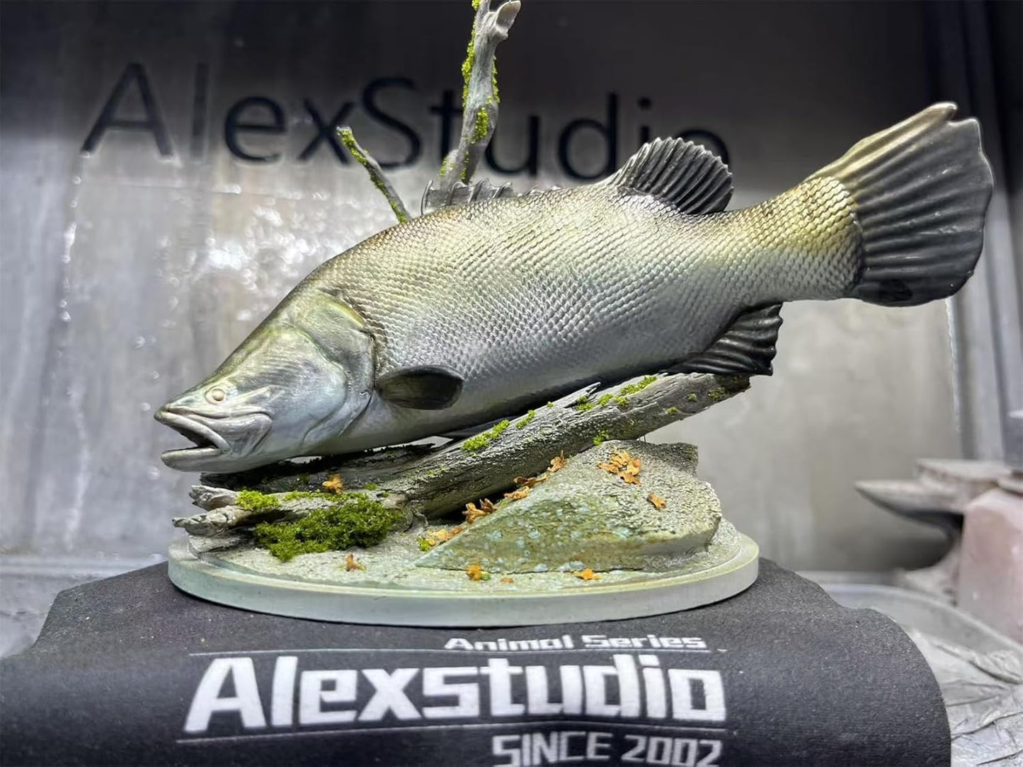 BACALYSO | ALEX STUDIO Barramundi Figure, 5.9 inches (15 cm), Grade, Alex, Fish, Large Carnivore, Animal Base, Resin, Painted, Cute, Realistic Animal, Plastic Model, Toy, Figurine