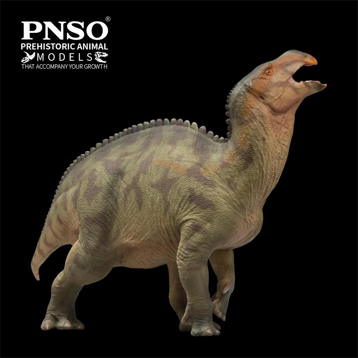 PNSO 成長シリーズ 97 ランジョウサウルス フィギュア 白亜紀 スティラコステルナ類 鳥脚類 26cm級 恐竜 PVC おもちゃ 模型 恐竜好き [並行輸入品]