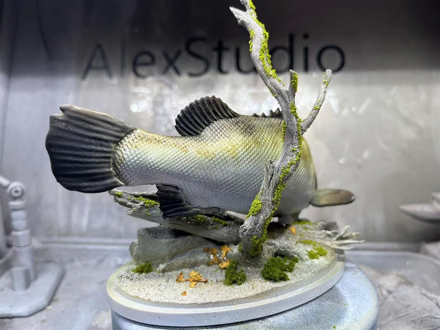 BACALYSO | ALEX STUDIO Barramundi Figure, 5.9 inches (15 cm), Grade, Alex, Fish, Large Carnivore, Animal Base, Resin, Painted, Cute, Realistic Animal, Plastic Model, Toy, Figurine