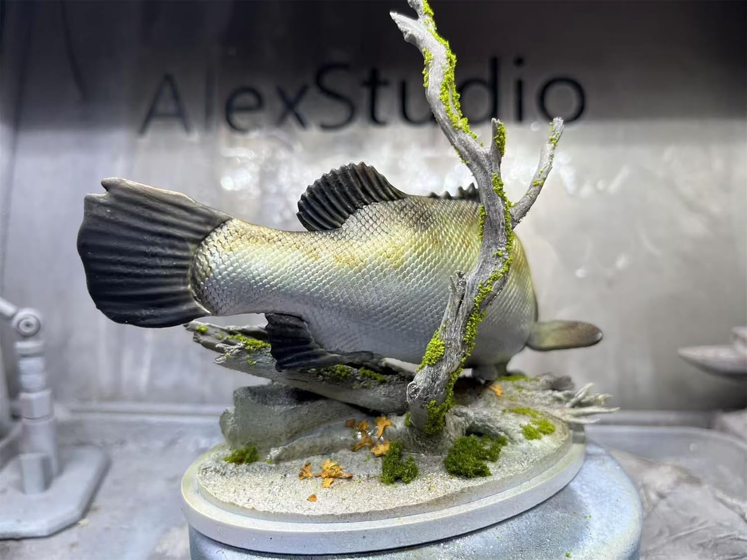 BACALYSO | ALEX STUDIO Barramundi Figure, 5.9 inches (15 cm), Grade, Alex, Fish, Large Carnivore, Animal Base, Resin, Painted, Cute, Realistic Animal, Plastic Model, Toy, Figurine