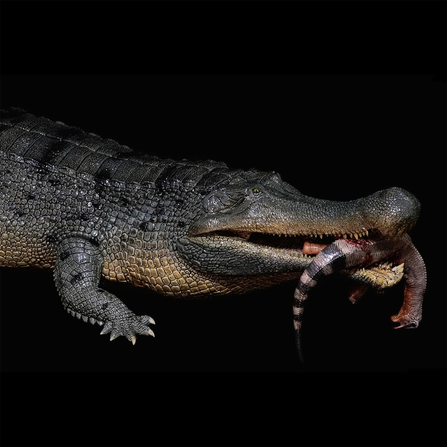 BACALYSO |REBOR 1/35 サイズ ワニ デイノスクス ニジェールサウルス 獣脚類 恐竜 動物 フィギュア 45cm級 2点セット 大口 恐ろしい 模型 新配色 情景 セット プラモデル 大人 おもちゃ オブジェ 置物 プレゼント 完成品 (二点セット)