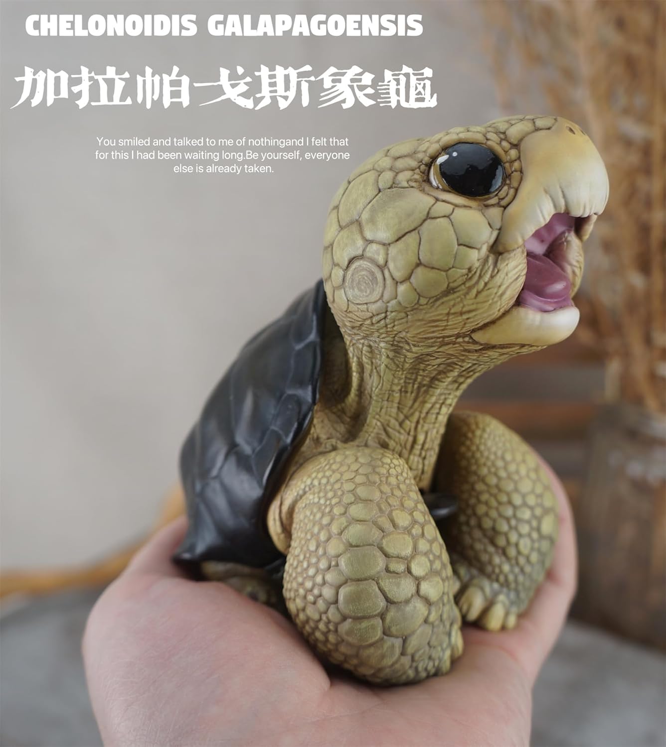 博物志 アカアシガメ ガラパゴスゾウガメ リクガメ 7-11CM級 樹脂 フィギュア 亀好き 爬虫綱 亀 動物 可愛い リアル プラモデル おもちゃ 模型 置物 (ガラパゴスゾウガメ) [並行輸入品]