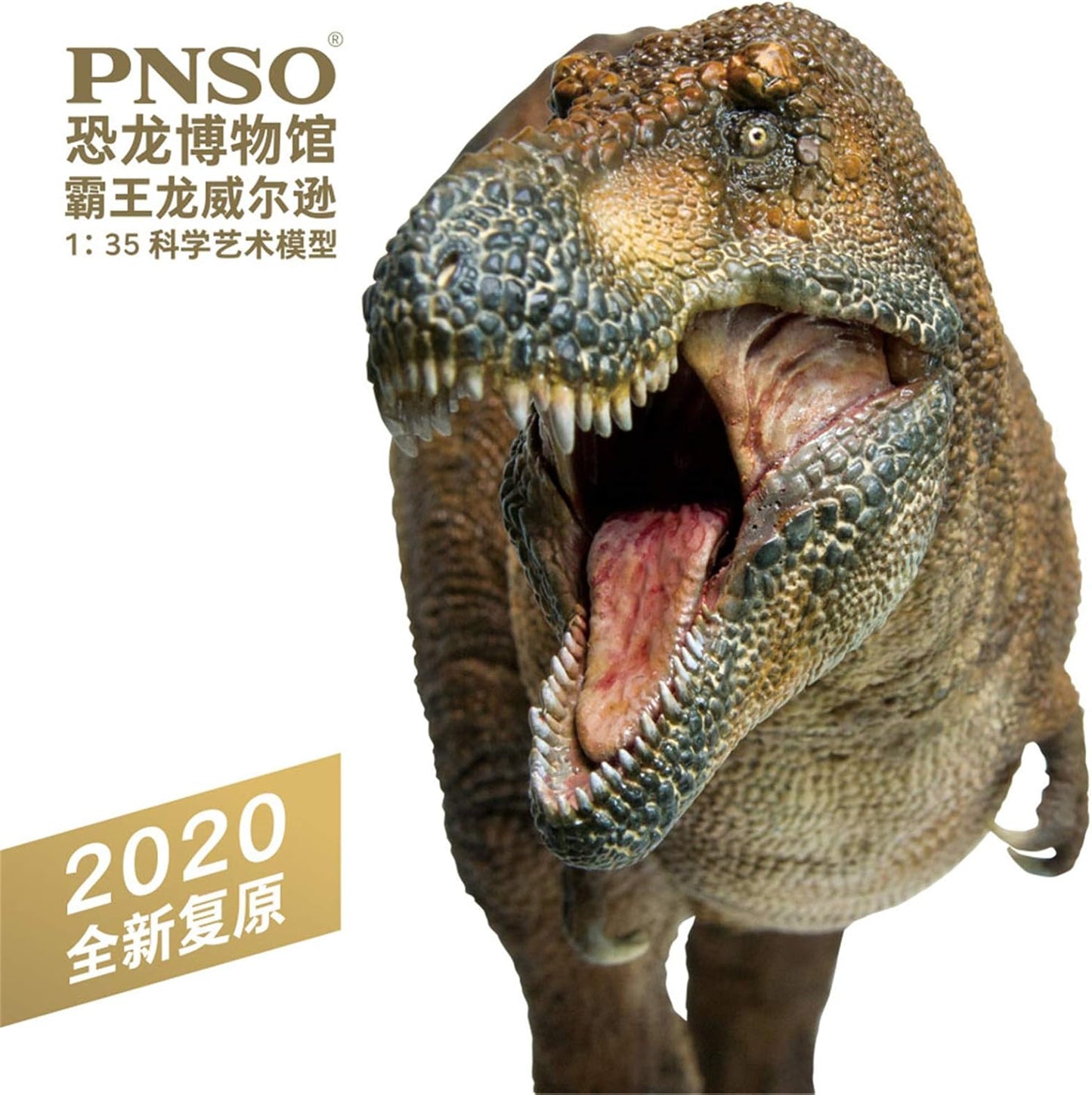 PNSO 恐竜博物館 1/35 サイズ ティラノサウルス T-REX 恐竜 リアル フィギュア PVC プラモデル おもちゃ 模型