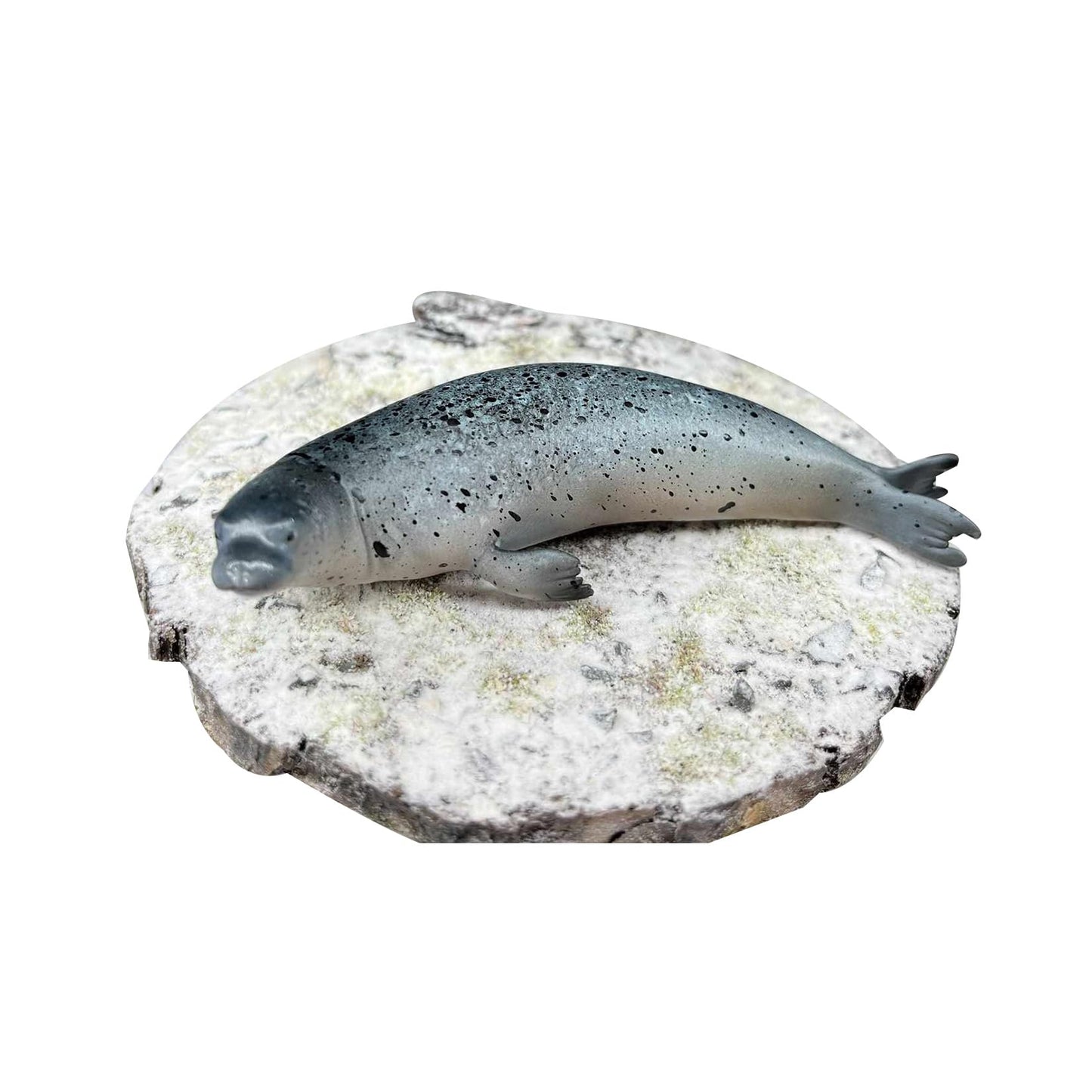 BACALYSO | ALEX STUDIO Sea Sea Seal, Mammal, Carnivore, Seal, Coat, Seal, Resin, Painted, Cute, Realistic Animal, Plastic Model, Toy Figurine, Figurine (No Pedestal, 1/15)