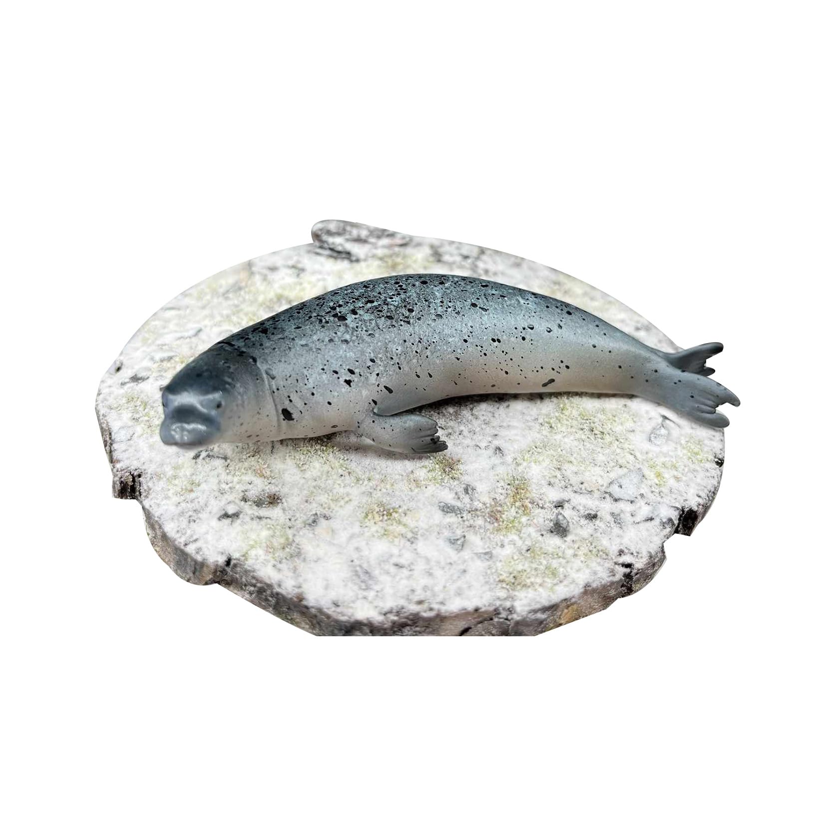 BACALYSO | ALEX STUDIO Sea Sea Seal, Mammal, Carnivore, Seal, Coat, Seal, Resin, Painted, Cute, Realistic Animal, Plastic Model, Toy Figurine, Figurine (No Pedestal, 1/15)