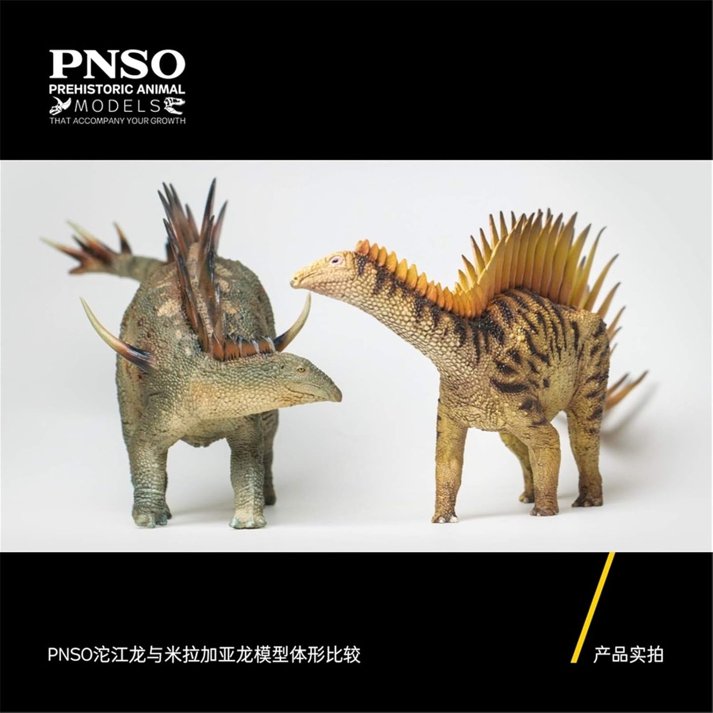 PNSO 成長シリーズ 39 ミラガイア 恐竜 フィギュア