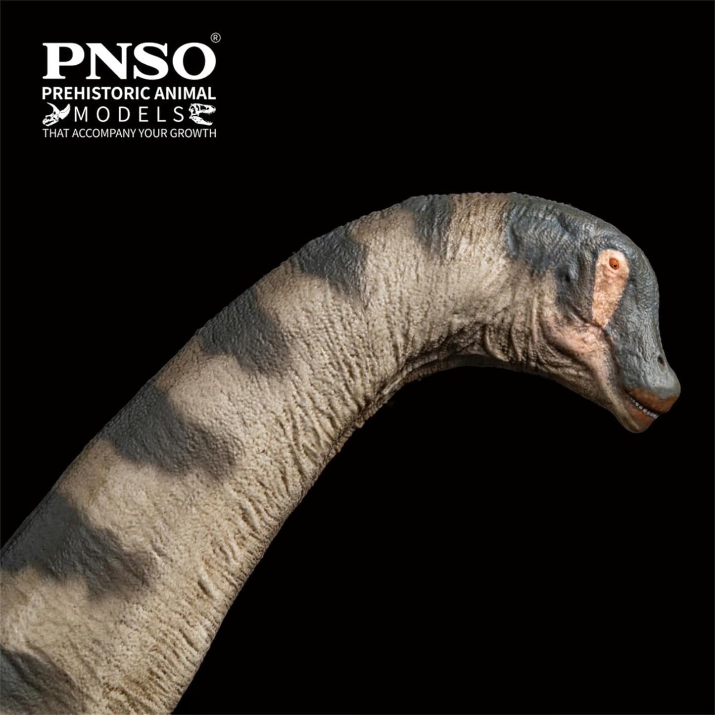 PNSO 成長シリーズ 79 アラモサウルス フィギュア 41.5cm級 恐竜 PVC おもちゃ 模型