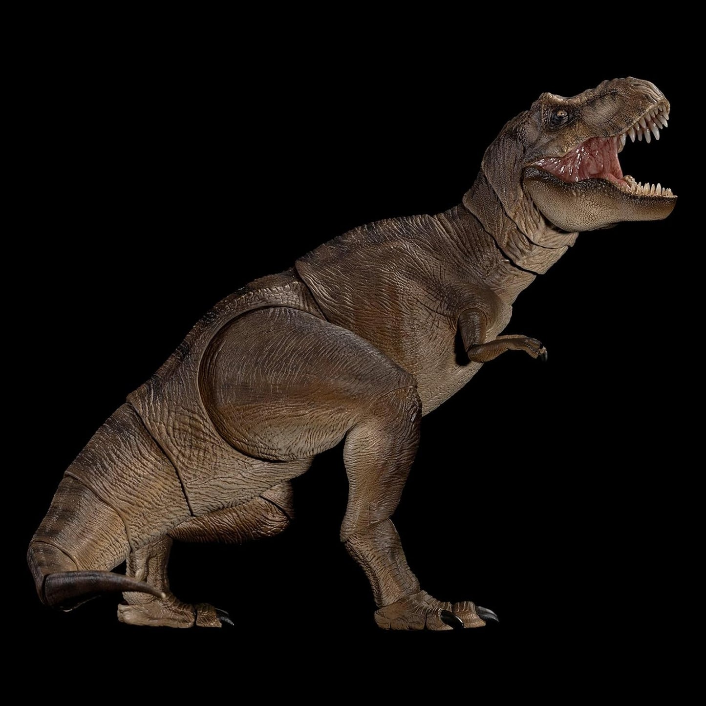 Nanmu 本心楠改 ティラノサウルス フィギュア 3.0 Tレックス T-REX メス オス 関節可動 可動式 42CM級 肉食 恐竜 リアル PVC+POM プラモデル おもちゃ 模型 置物 完成品 情景セット (172275 メス)