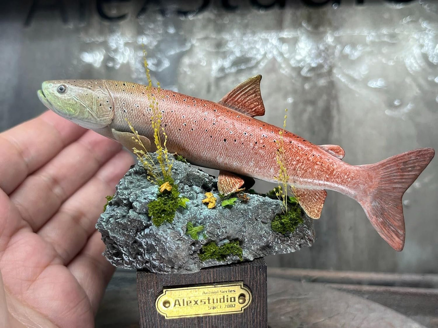 Alex STUDIO アムールイトウ フィギュア 魚 サケ科 動物 淡水魚 リアル 樹脂 プラモデル 大人のおもちゃ 模型 プレゼント 置物 台座付き (1/6) [並行輸入品]