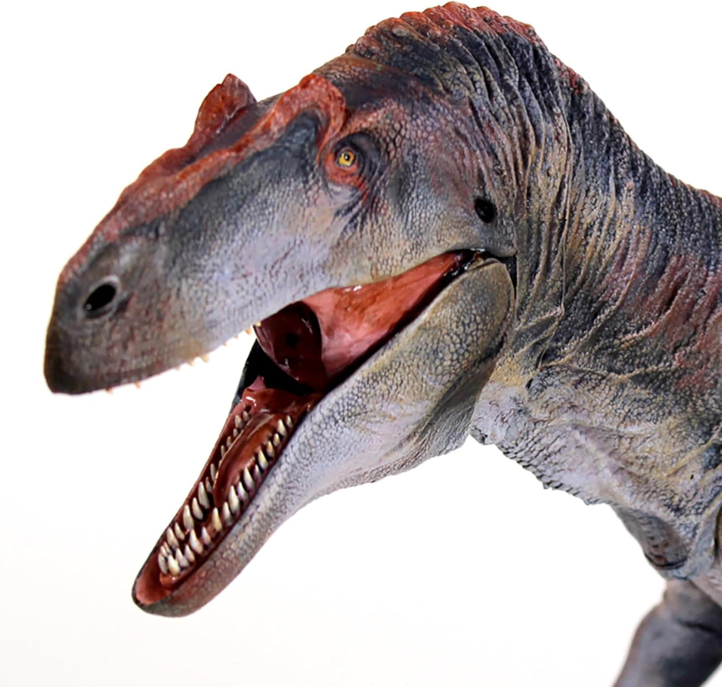 Creative Beast Studio 1/18 Arrosaurus Figure, Movable, Intermediate Jurassic Dinosaur, 20.1 inches (51 cm), Grade 22 Joints, PVC, Plastic Model, Toy, Freestanding, Display Model, Toy